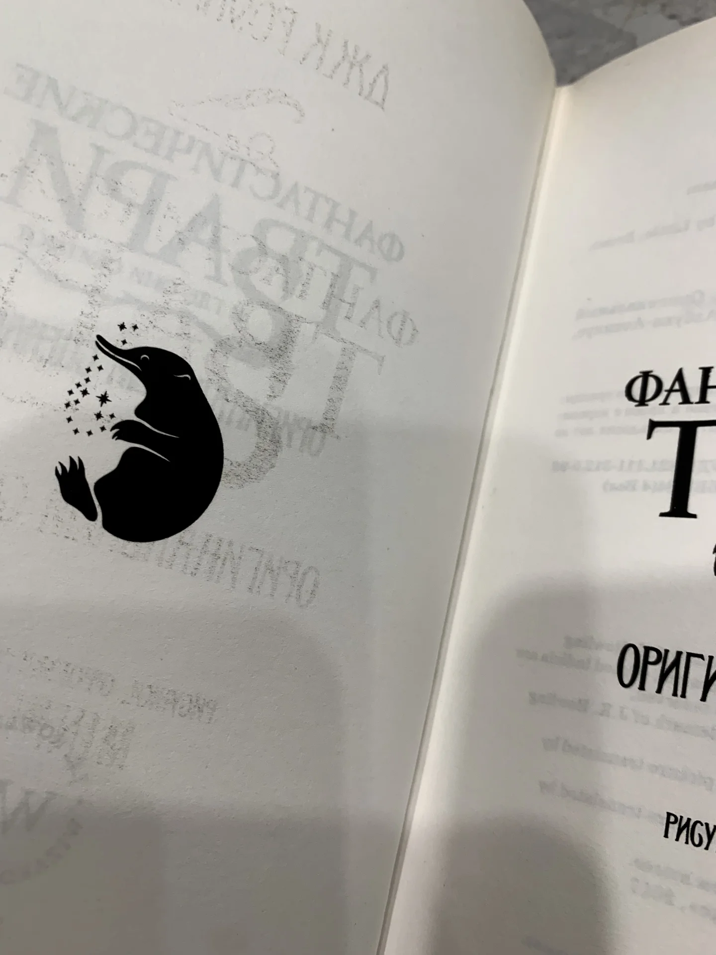 Книги Джоан Роулинг «Фантастические твари» - миниатюра 7