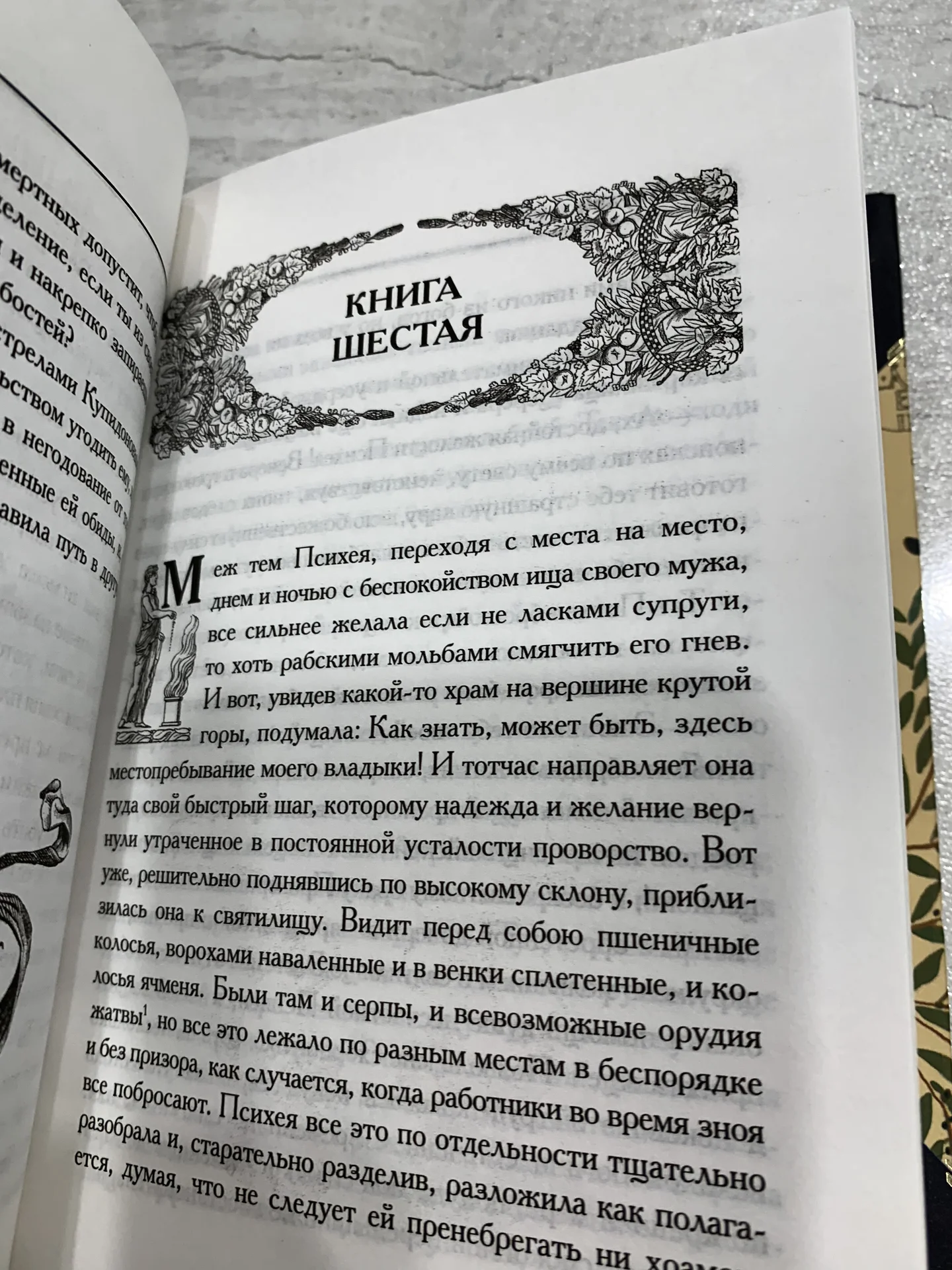 Книга Апулея «Метаморфозы», или «Золотой осёл» - миниатюра 7