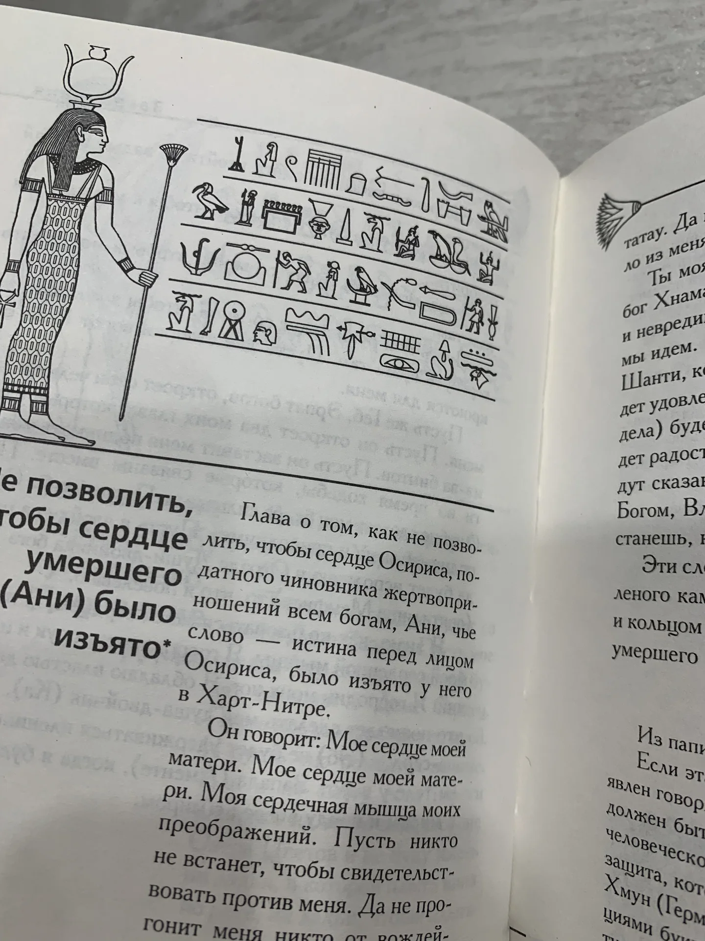 Древнеегипетская Книга мёртвых - миниатюра 7