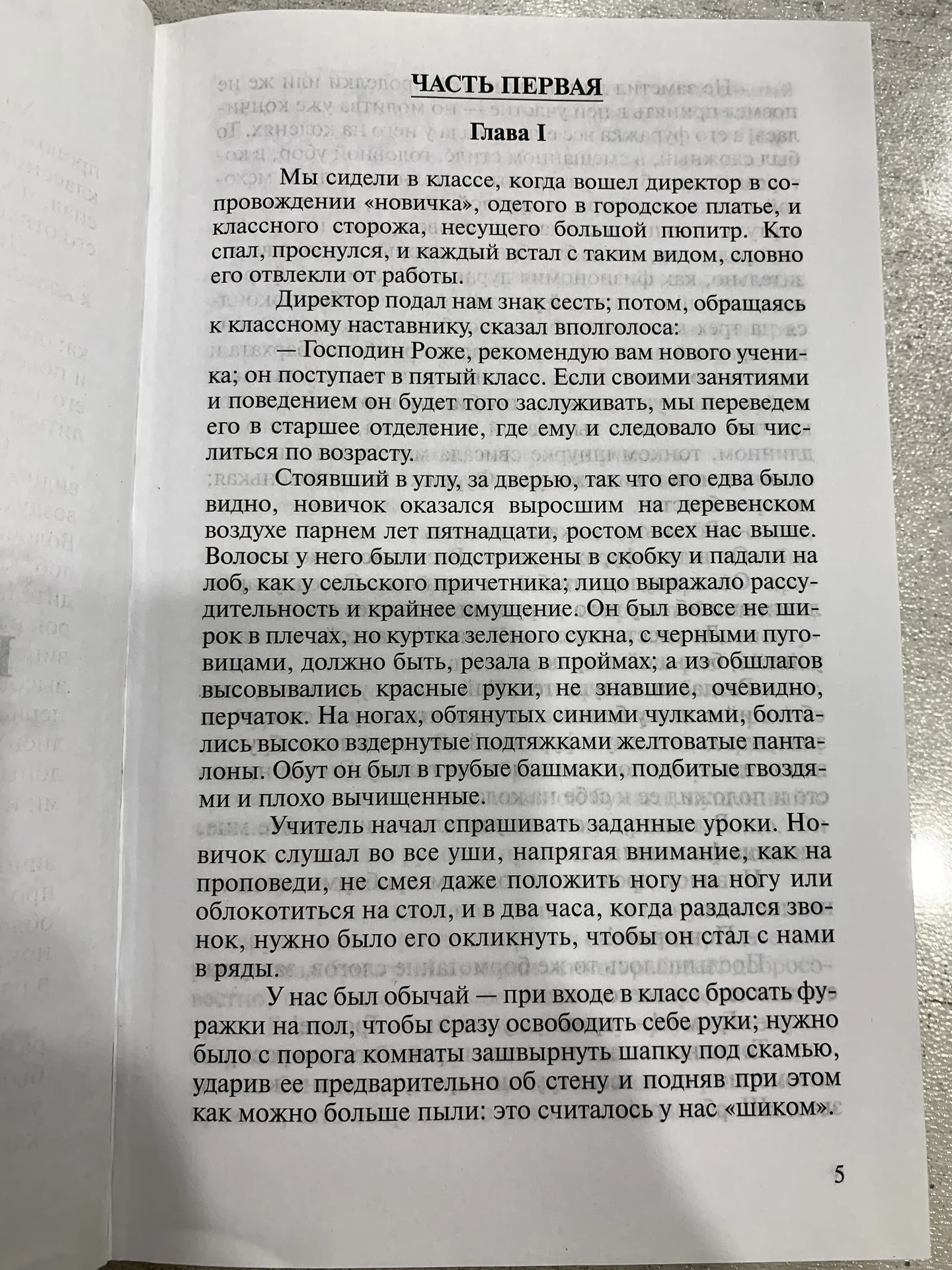 Книга Гюстава Флобера «Госпожа Бавари» - миниатюра 3