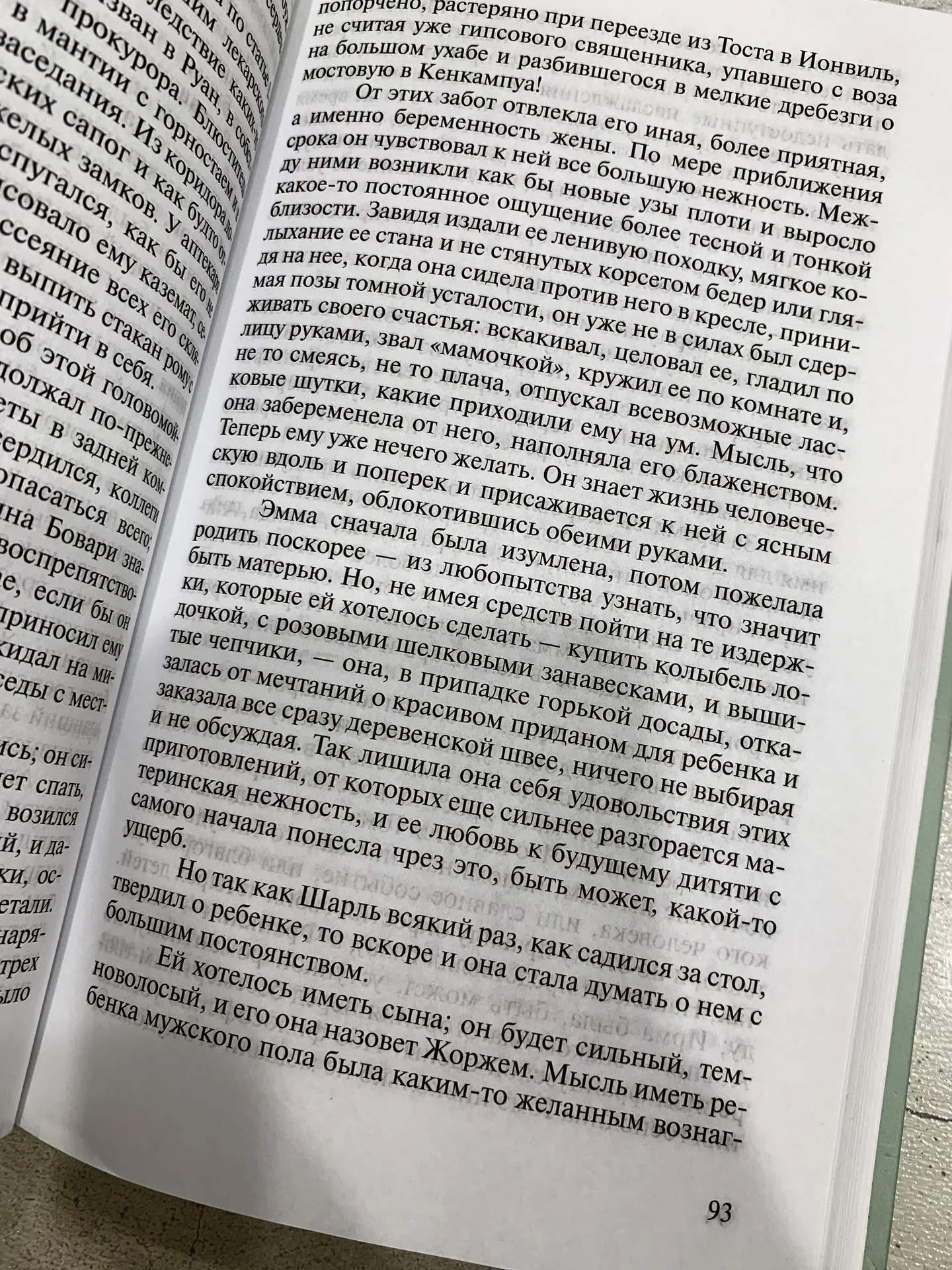 Книга Гюстава Флобера «Госпожа Бавари» - миниатюра 4