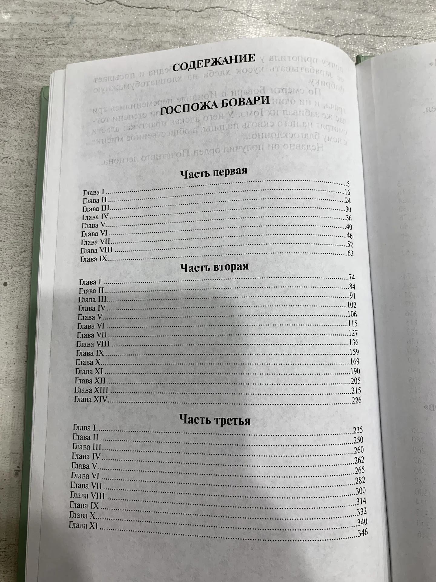 Книга Гюстава Флобера «Госпожа Бавари» - миниатюра 5