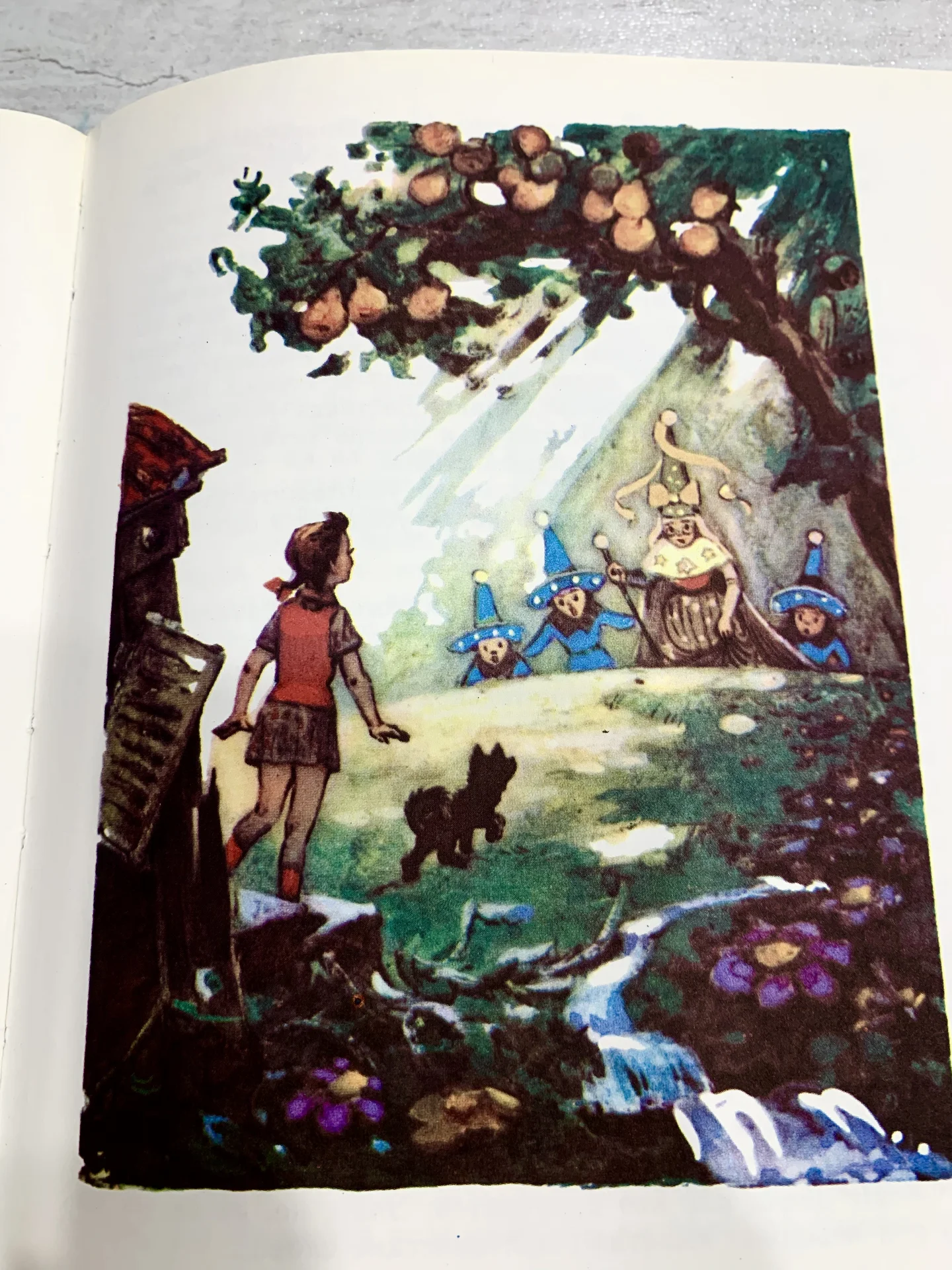 Книги А. Волкова «Волшебник Изумрудного города» - миниатюра 4