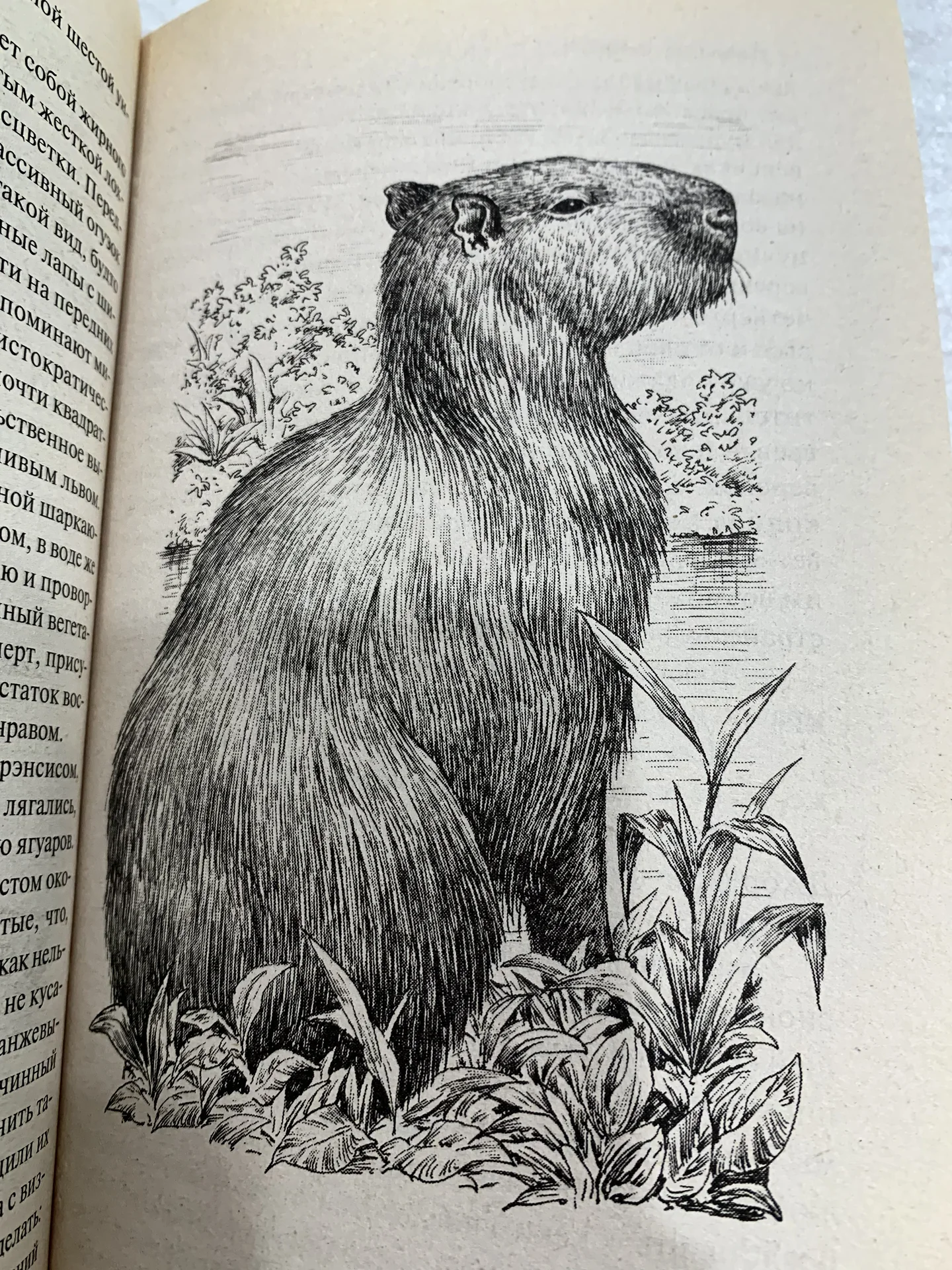 Книги Джеральда Даррелла («Говорящий свёрток») - миниатюра 5