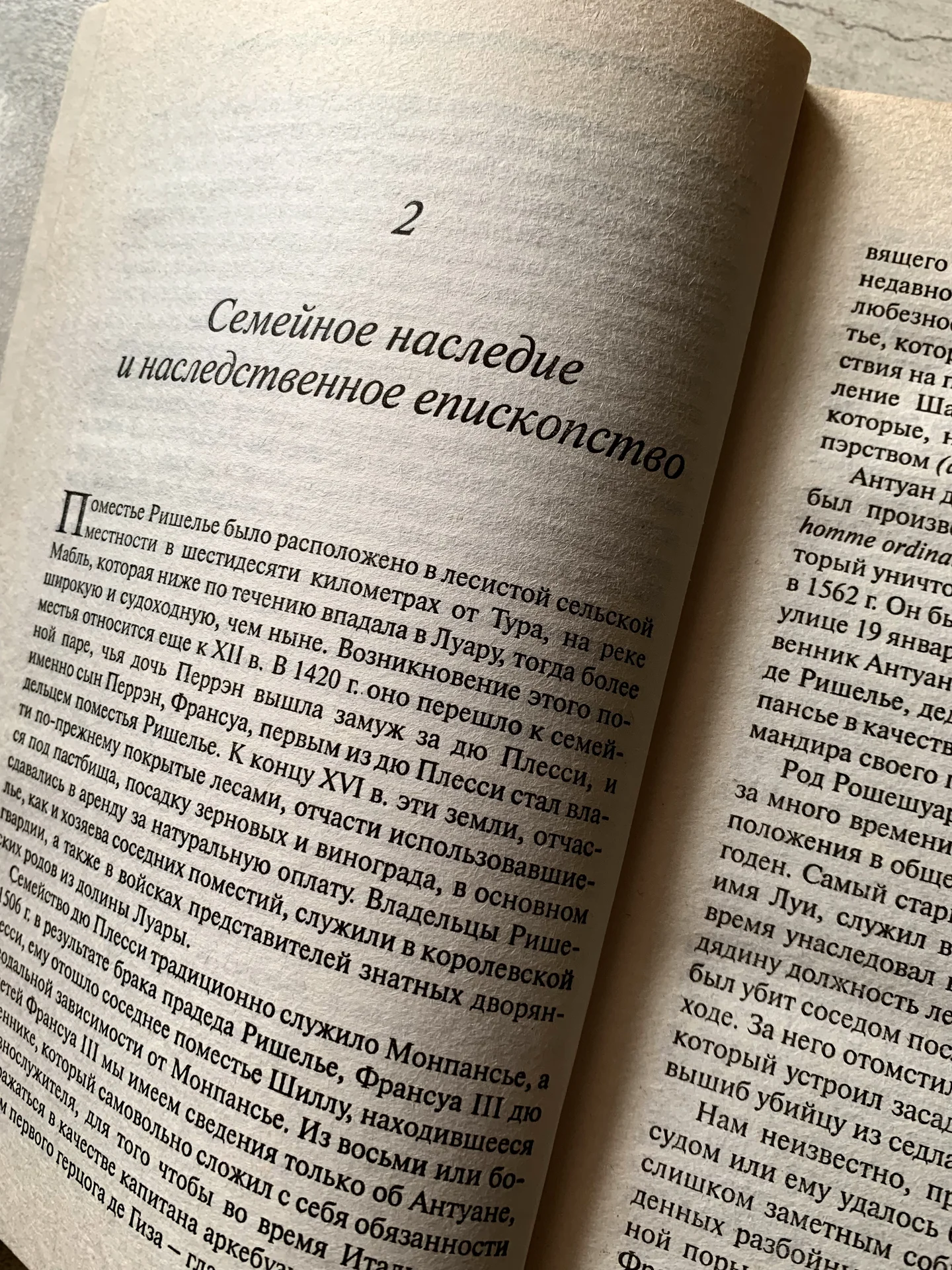 Э. Леви «Кардинал Ришелье и становление Франции» - миниатюра 3