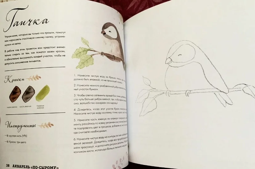 Книга по рисованию: "Лес и его обитатели" - миниатюра 5