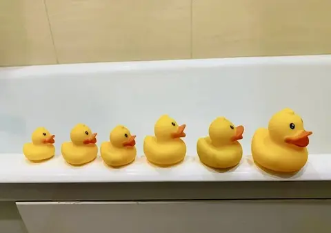 Водные игрушки, резиновые уточки «Funny Ducks»