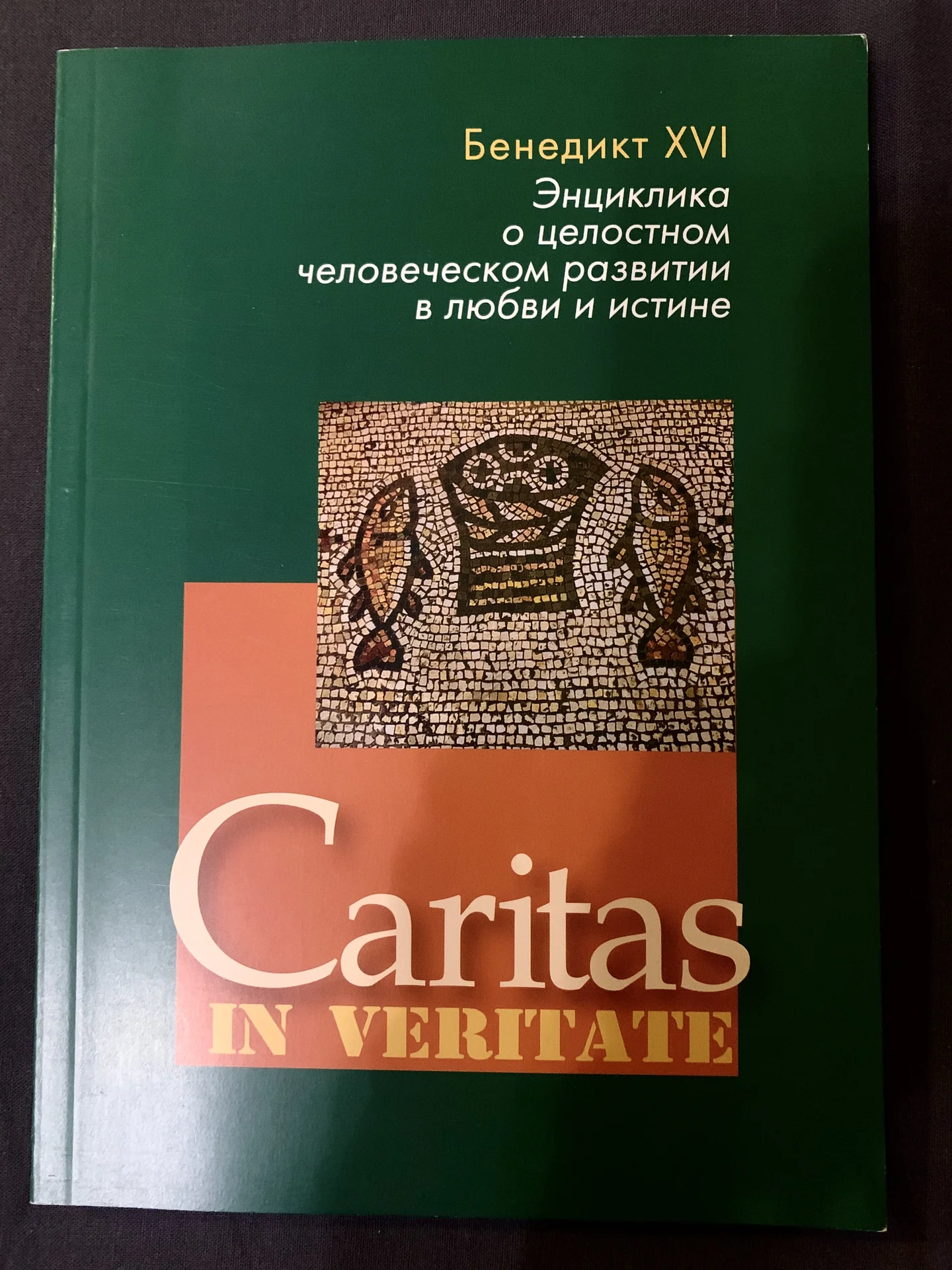 Энциклики и работы Бенедикта XVI (Йозеф Ратцингер) - миниатюра 3