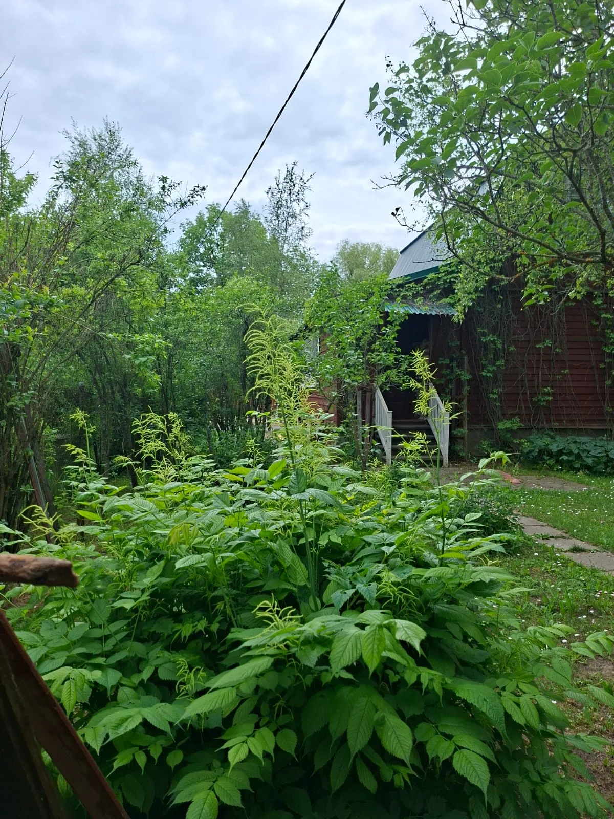 Продаются 2 дома в садовом товариществе - миниатюра 15