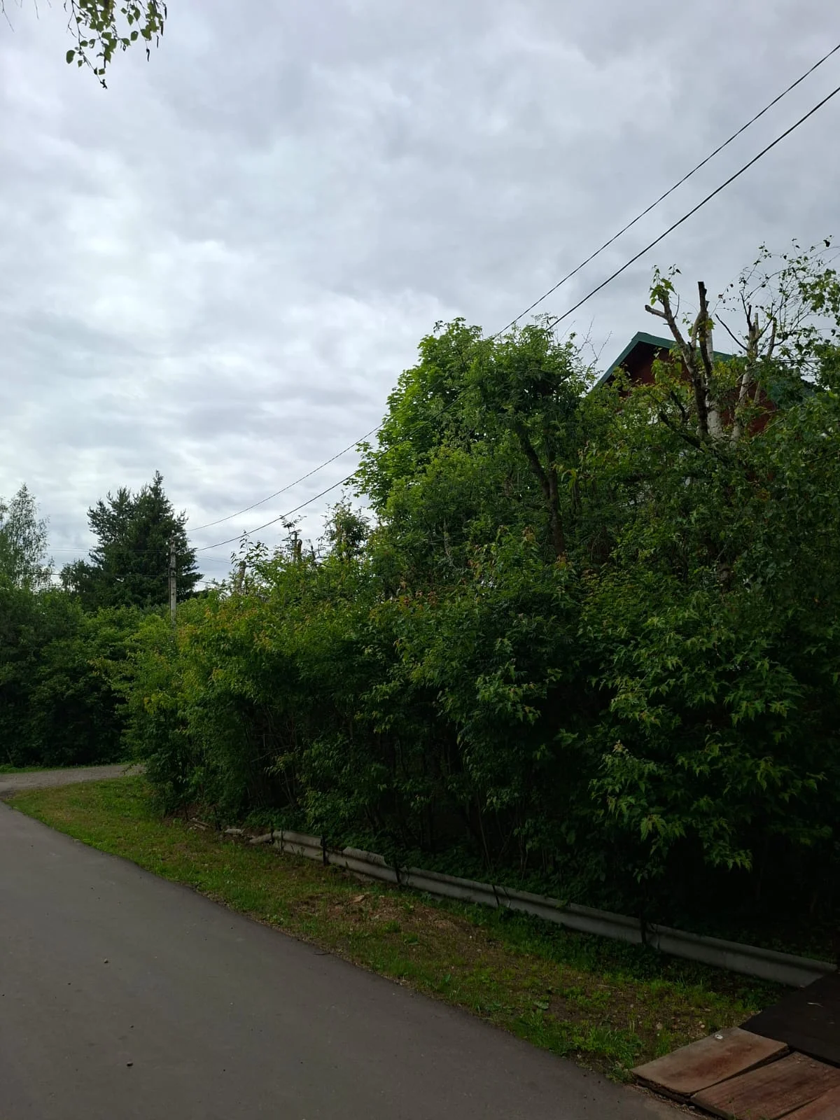Продаются 2 дома в садовом товариществе - миниатюра 17
