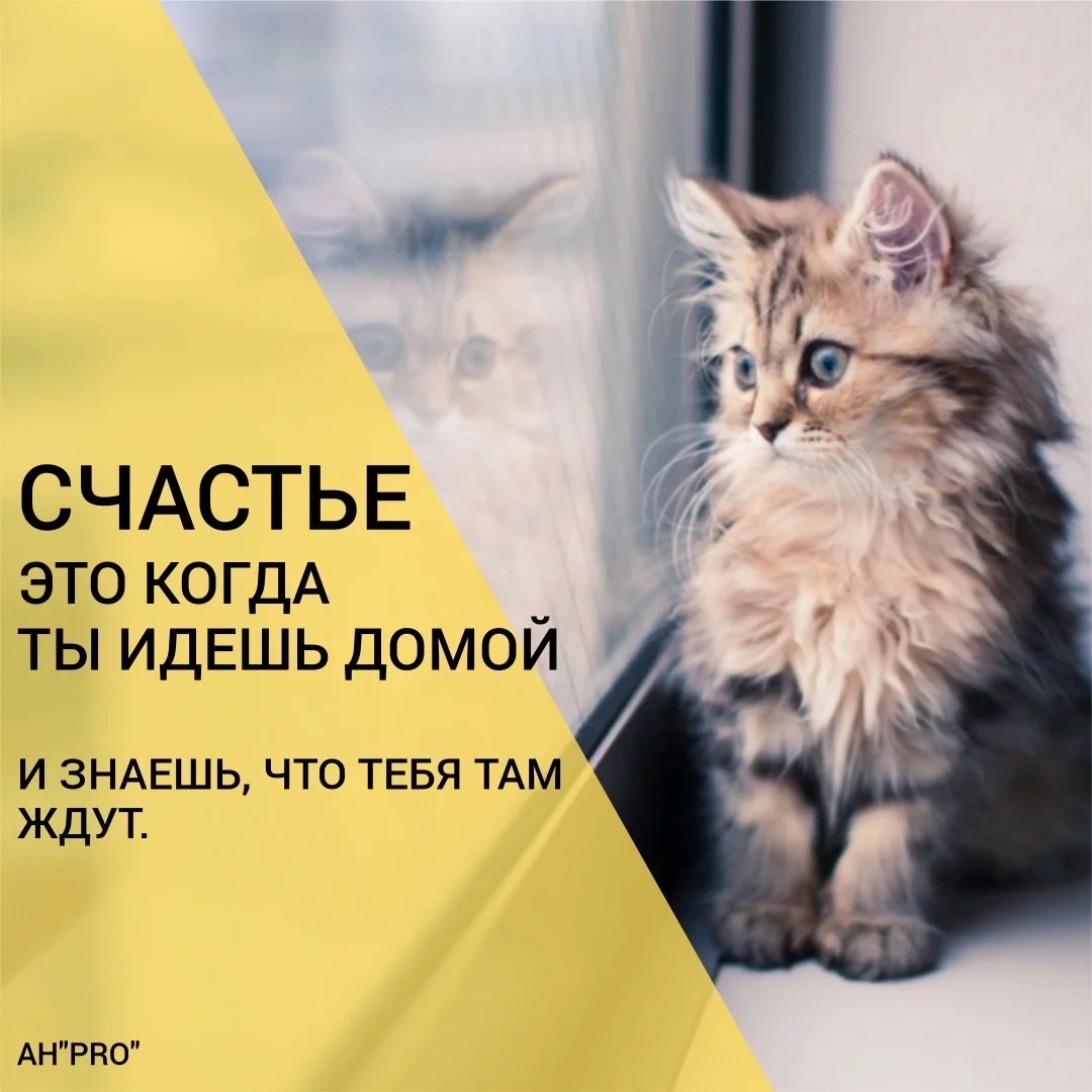 Риелтор - миниатюра 4