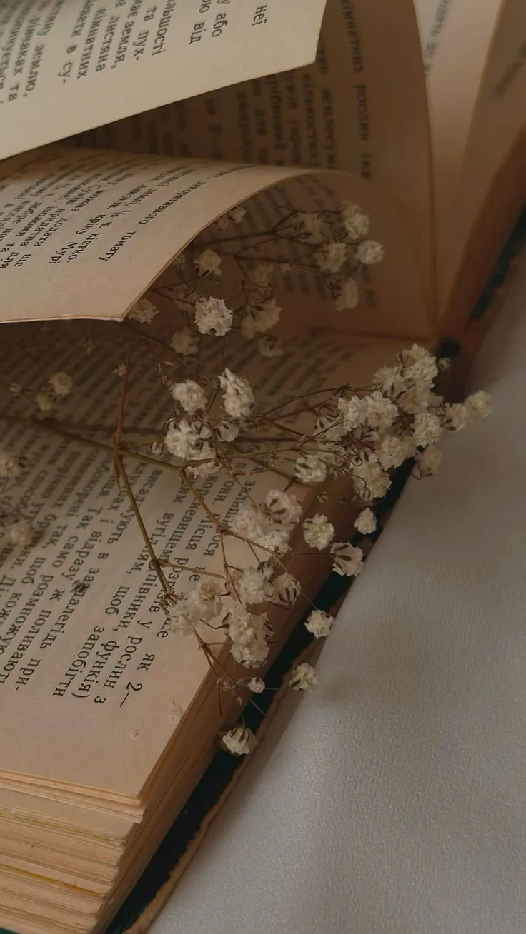 Книга/электронная книга📚 - миниатюра 3