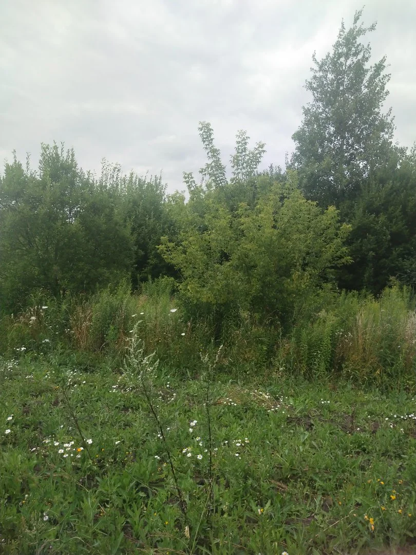 Участок под ижс - миниатюра 9