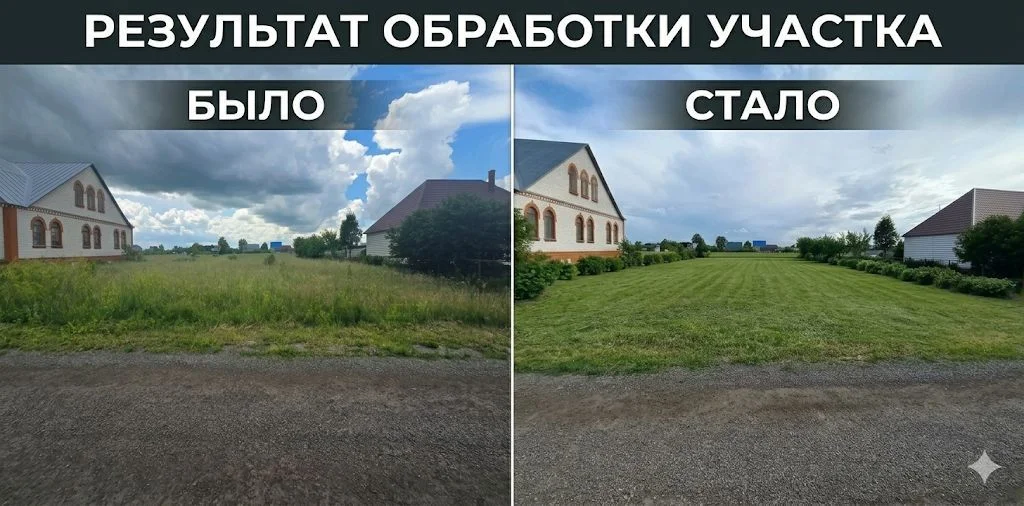 Покос травы, бурьяна и кустарников триммером - миниатюра 2