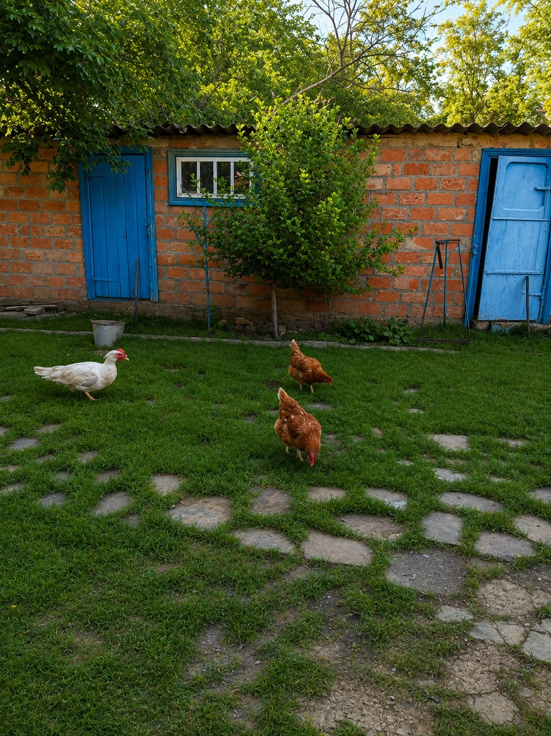 🏡 Дом с большим участком (28 соток) в с. Большая Джалга - миниатюра 13