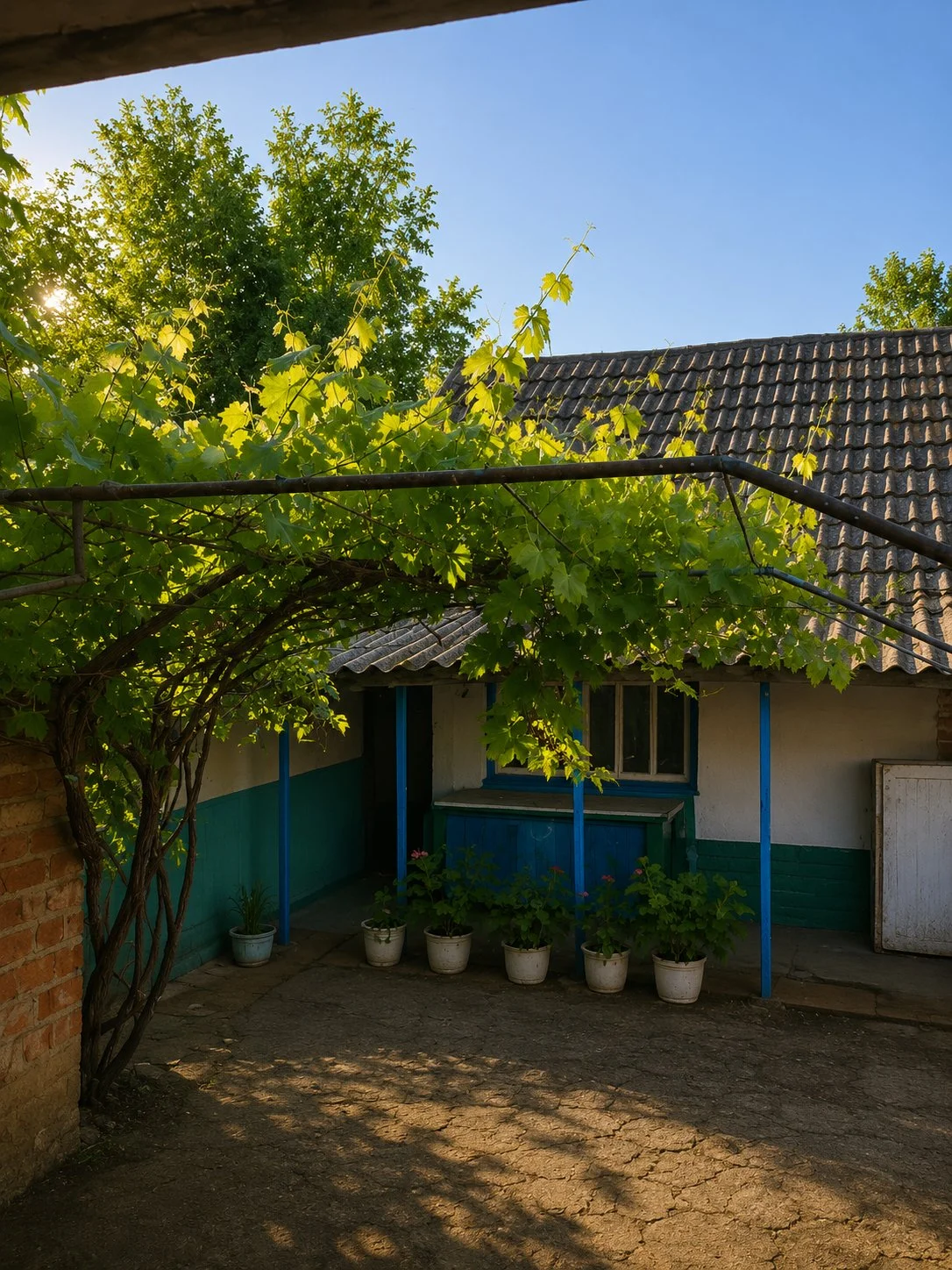 🏡 Дом с большим участком (28 соток) в с. Большая Джалга - миниатюра 15