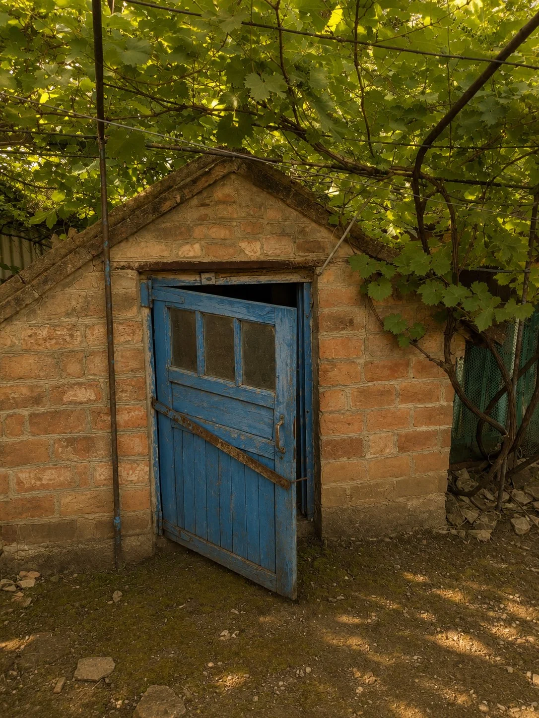 🏡 Дом с большим участком (28 соток) в с. Большая Джалга - миниатюра 19