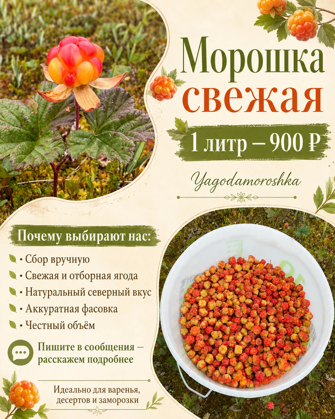 Морошка свежая 2026 - изображение 1