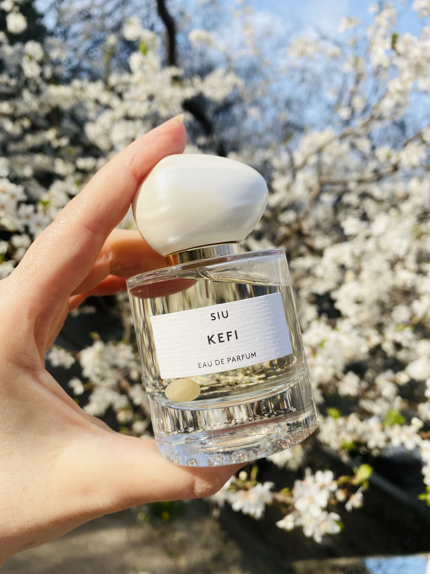 Siu Kefi Распив
