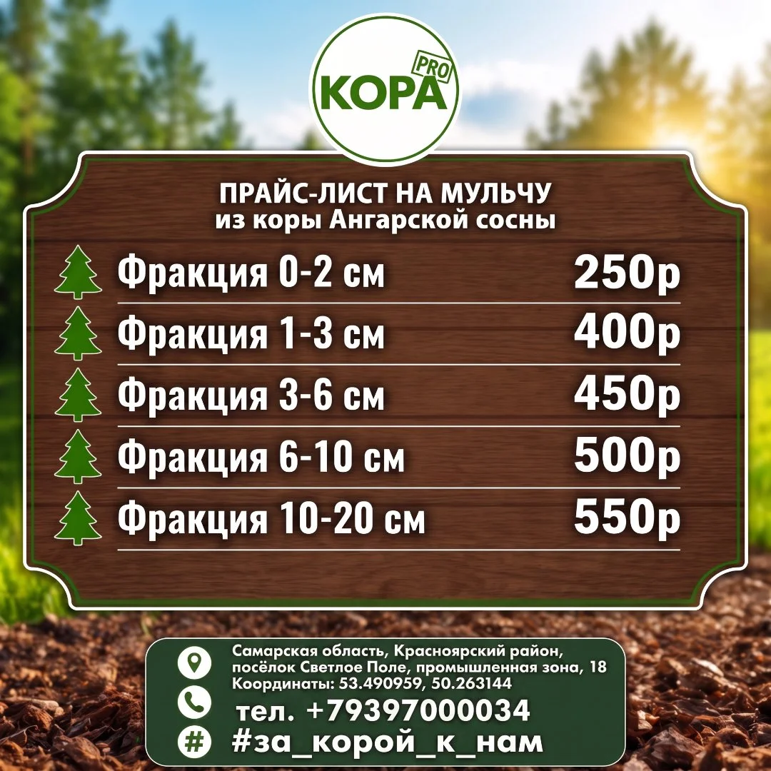 Кора Мульча из Ангарской сосны - изображение 1