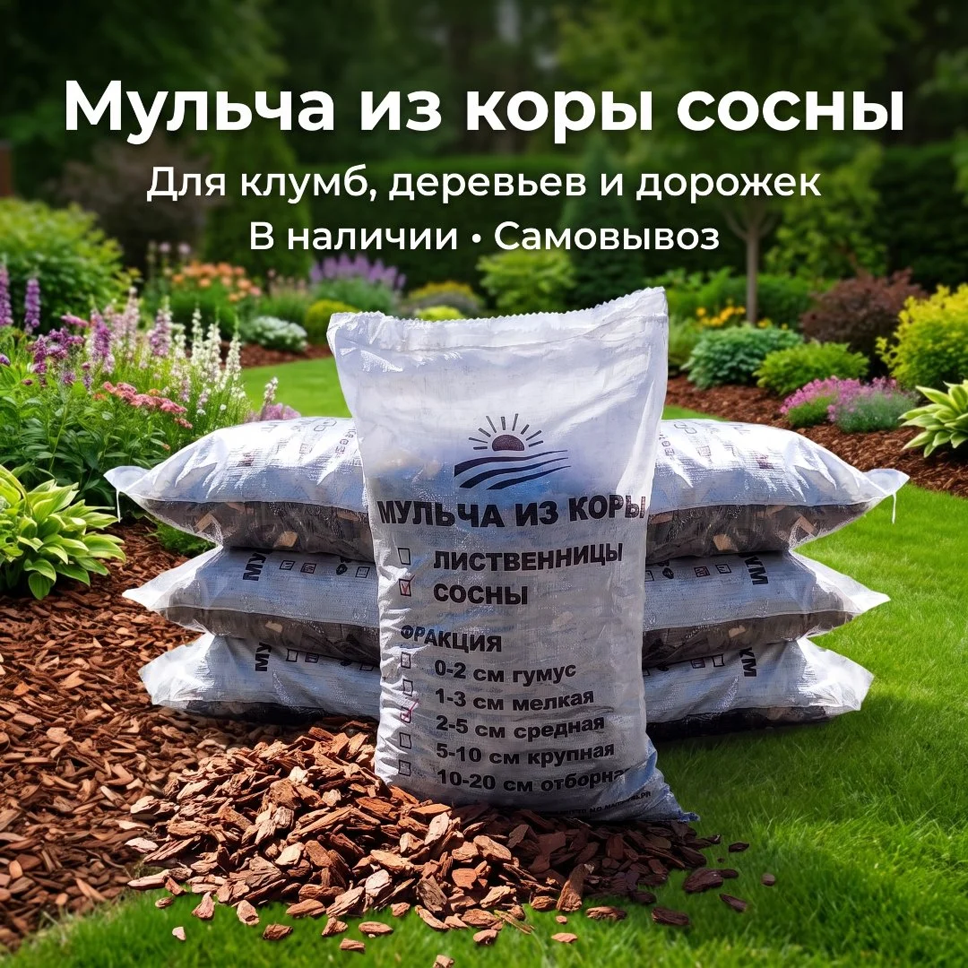 Кора Мульча из Ангарской сосны - миниатюра 3