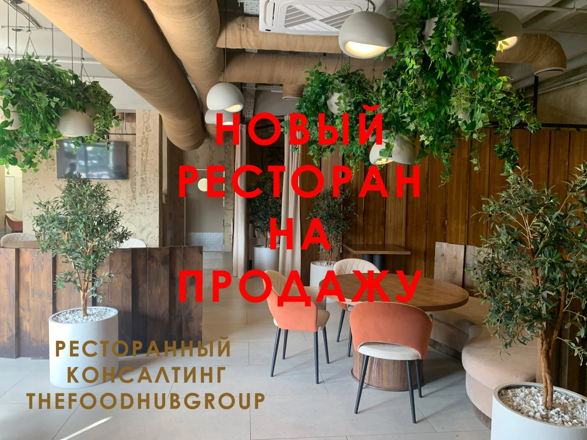 Продажа готового ресторана от собственника TheFoodHubGroup - изображение 1