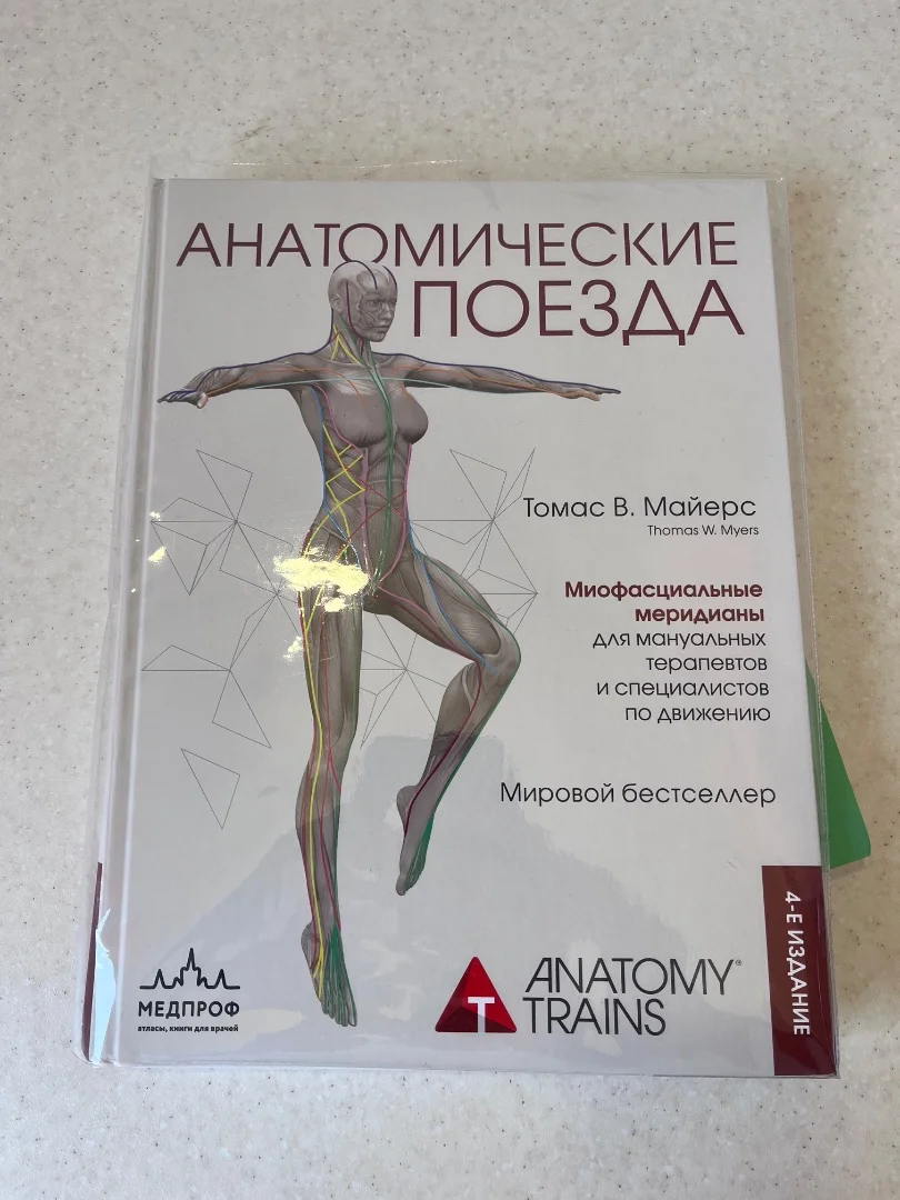 "Анатомические поезда" Томас Майерс - изображение 1