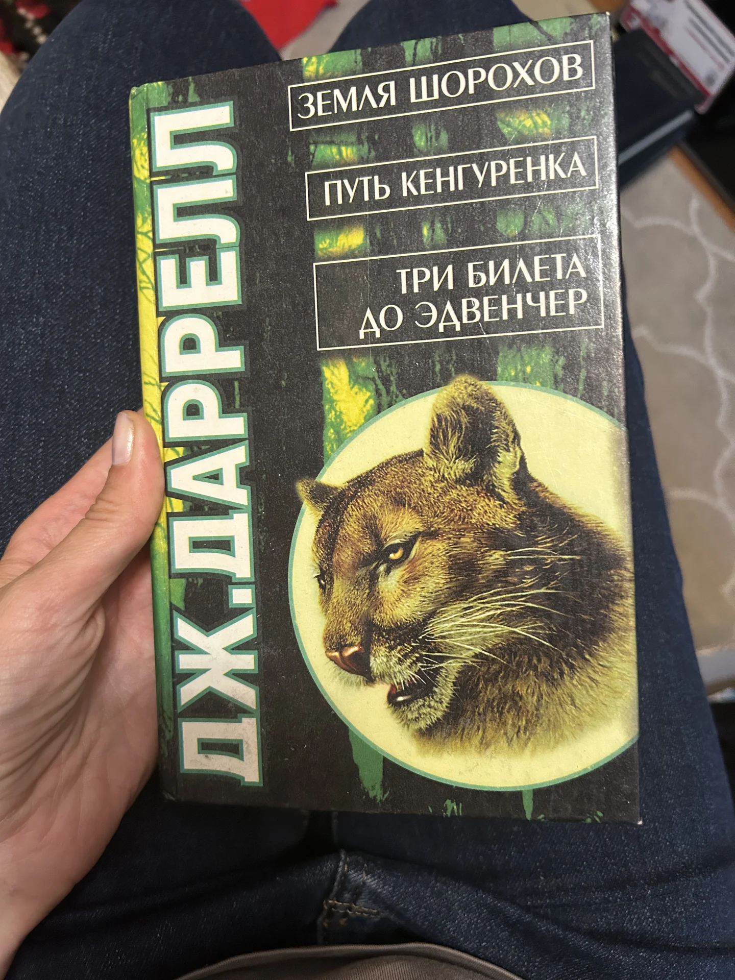 Книга Землч Шорохов - изображение 1