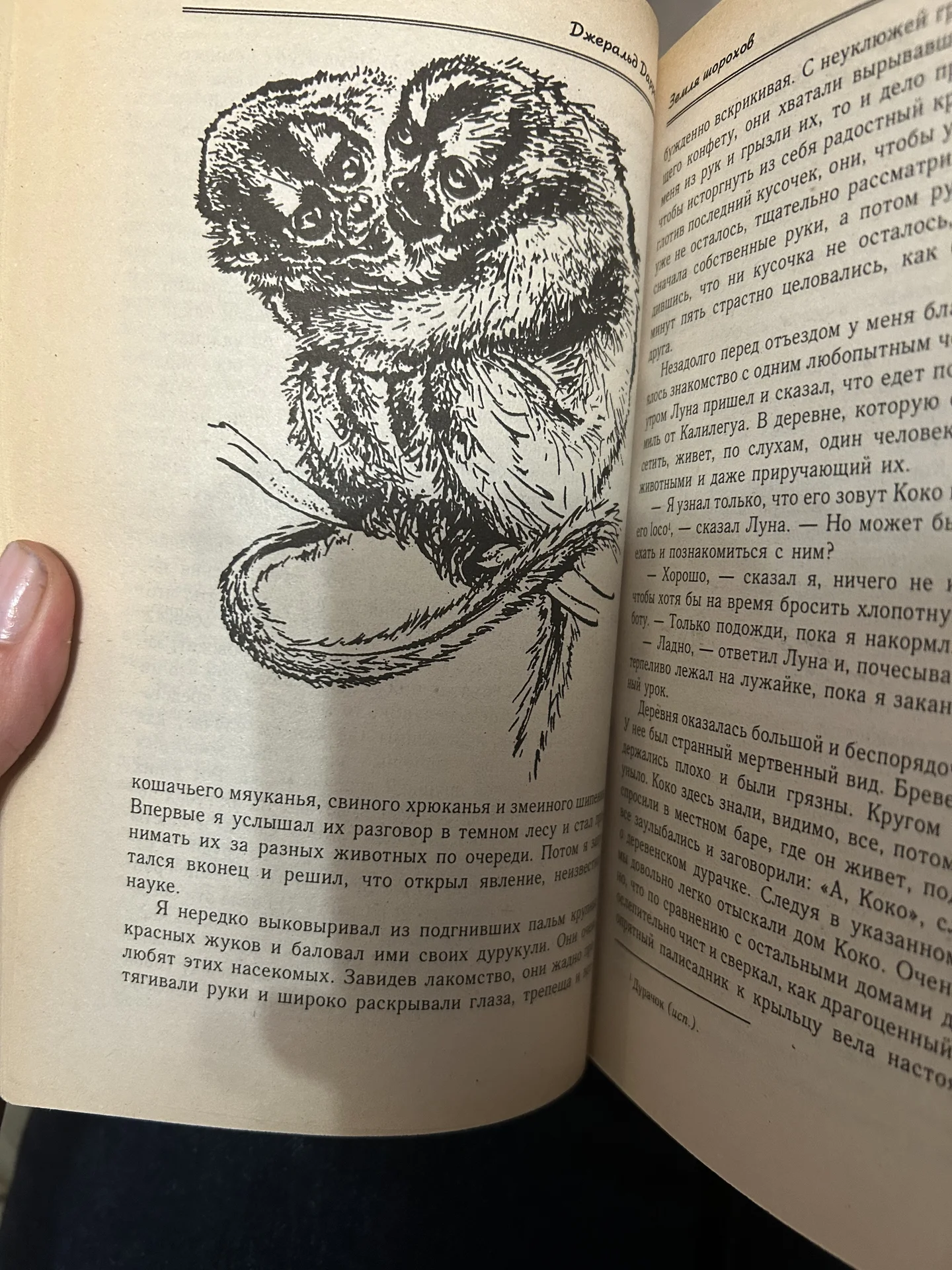 Книга Землч Шорохов - миниатюра 3