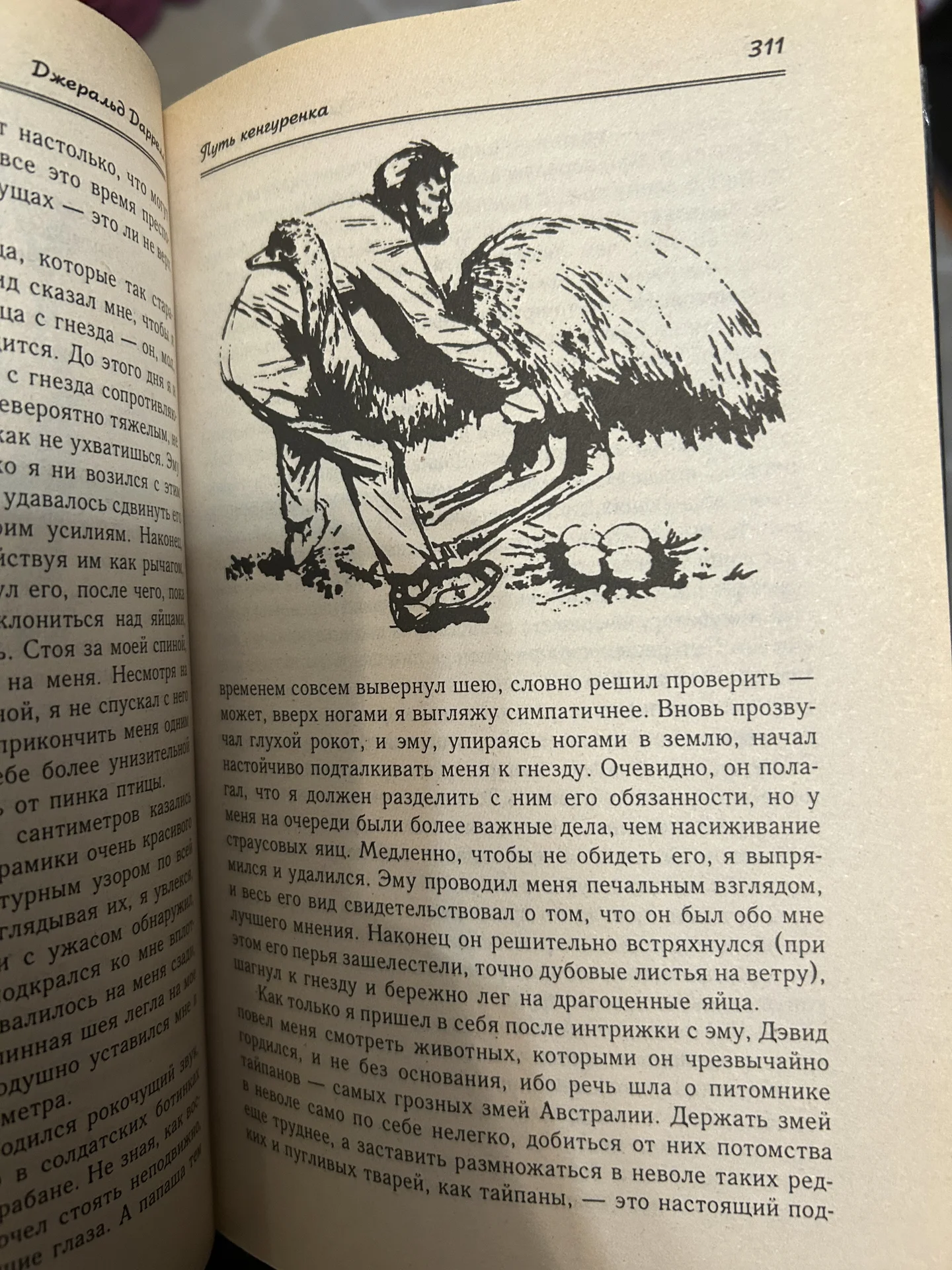 Книга Землч Шорохов - миниатюра 4