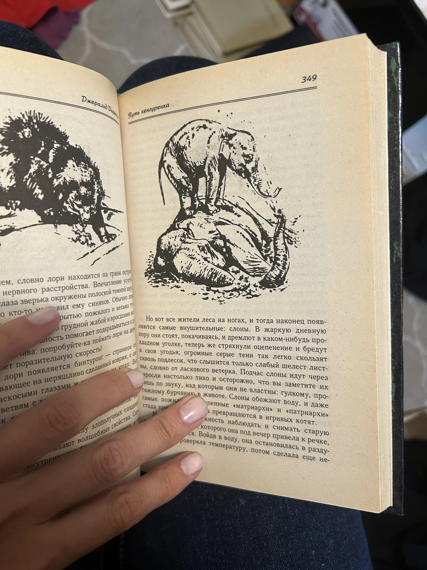 Книга Землч Шорохов - миниатюра 5
