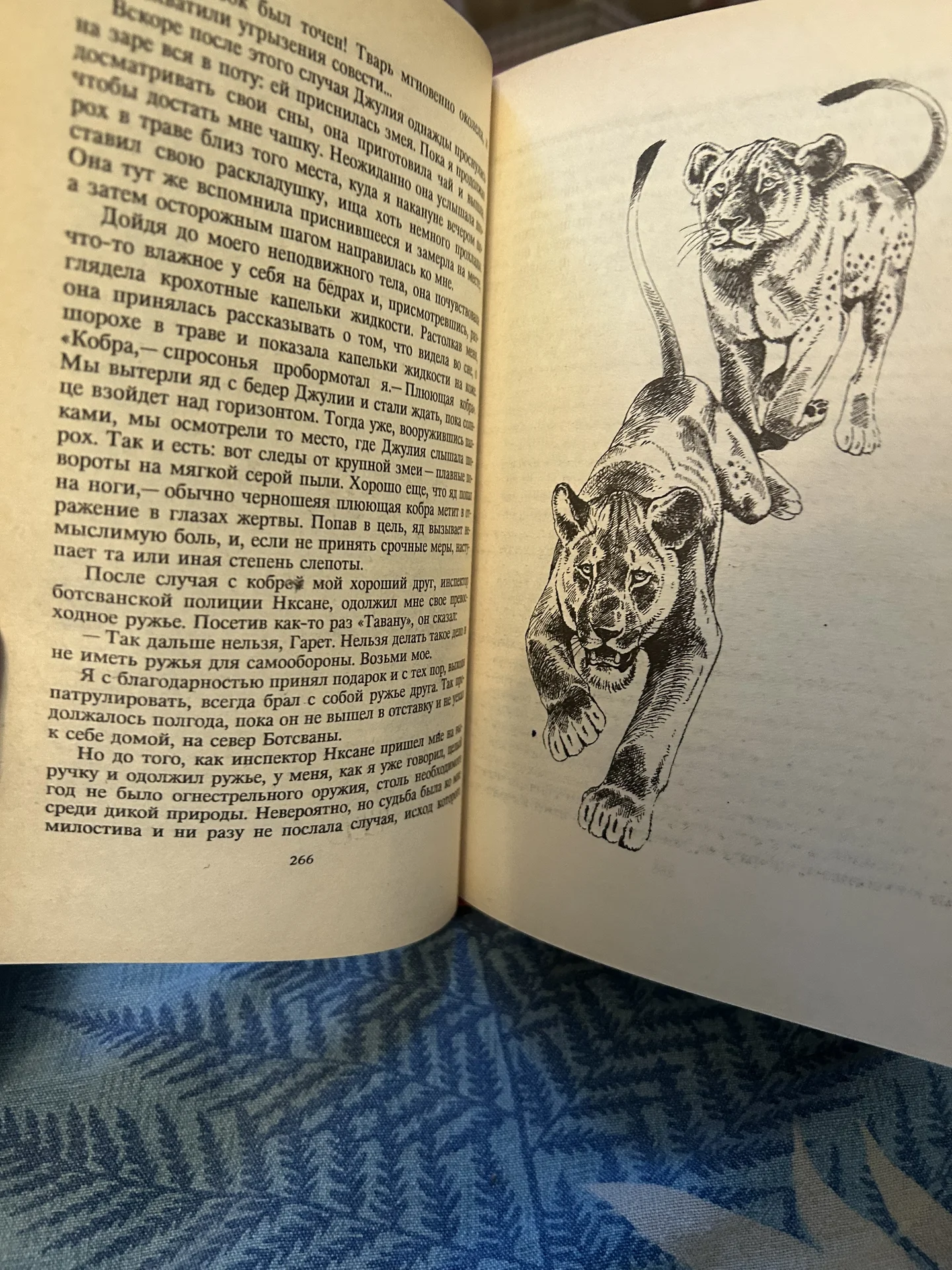 Книга Львы в наследство - миниатюра 5