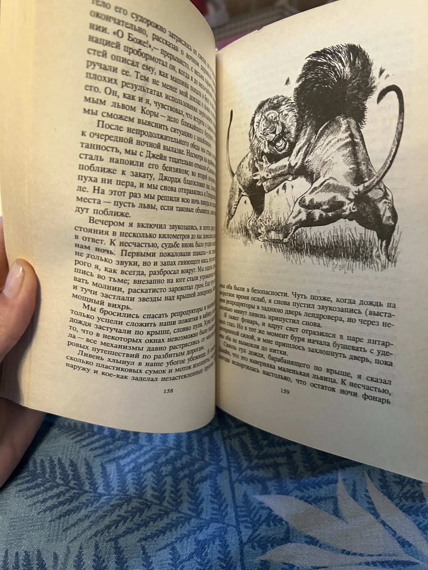 Книга Львы в наследство - миниатюра 6