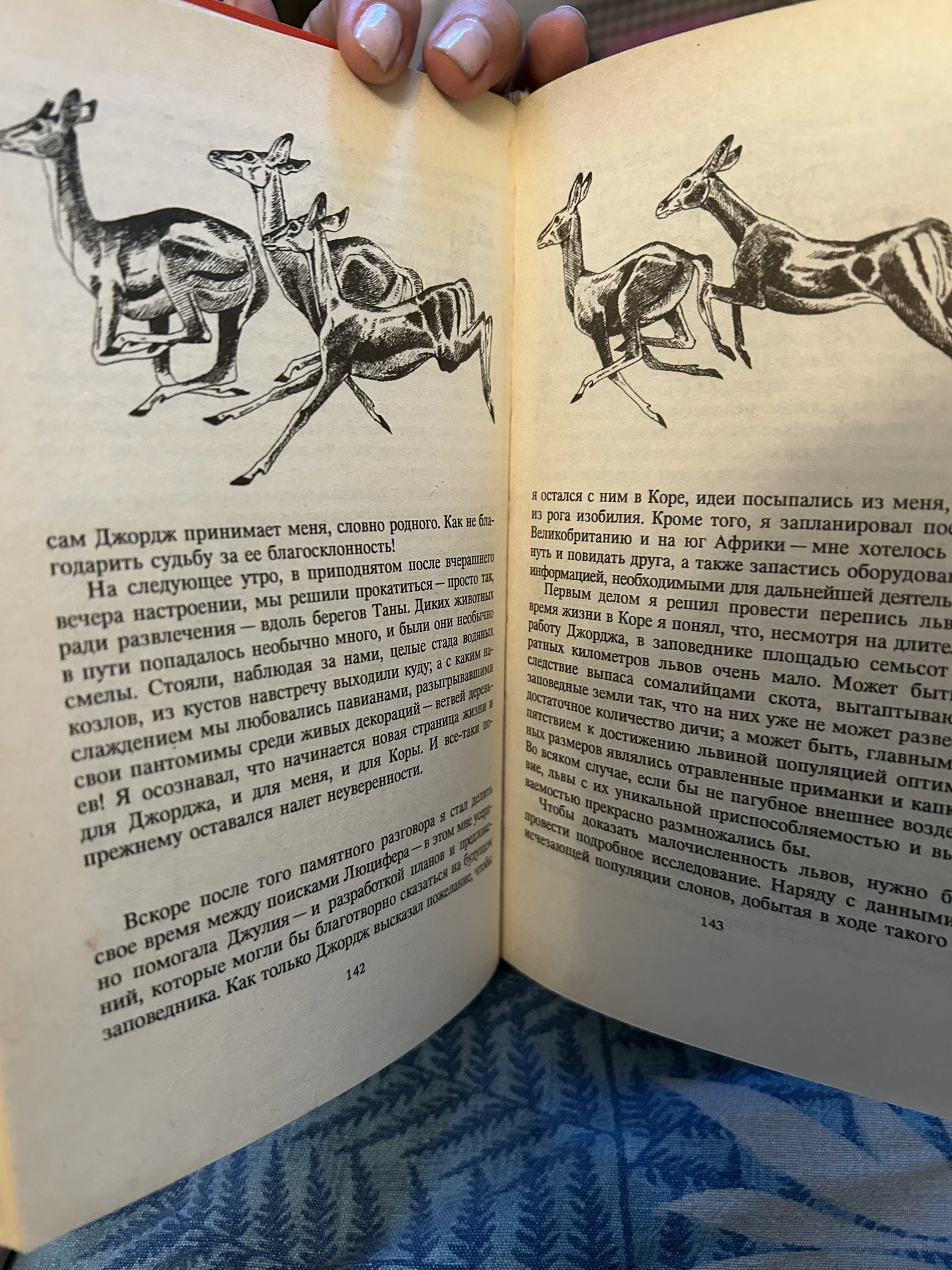 Книга Львы в наследство - миниатюра 7