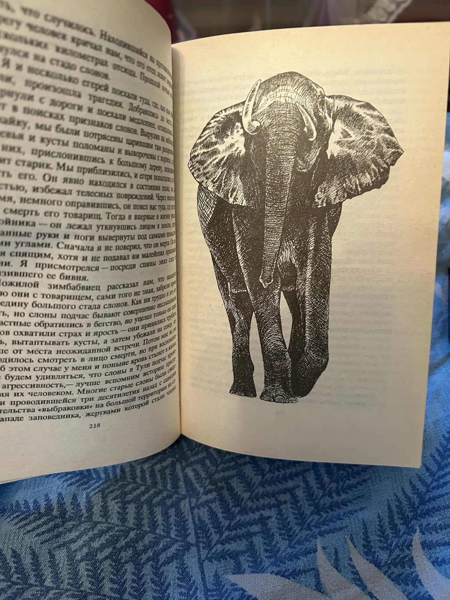 Книга Львы в наследство - миниатюра 8