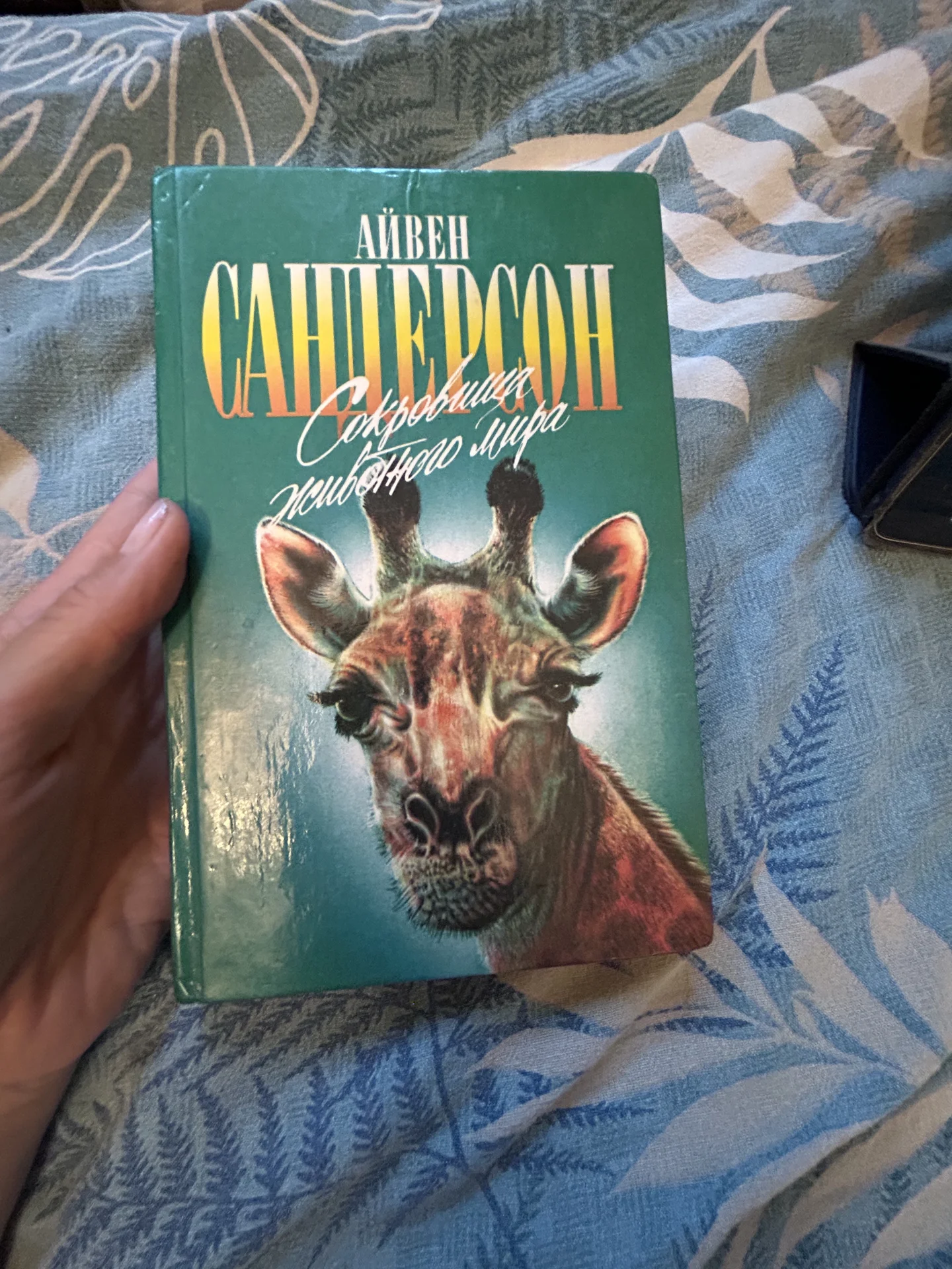 Книга Сокровища животного мира - изображение 1