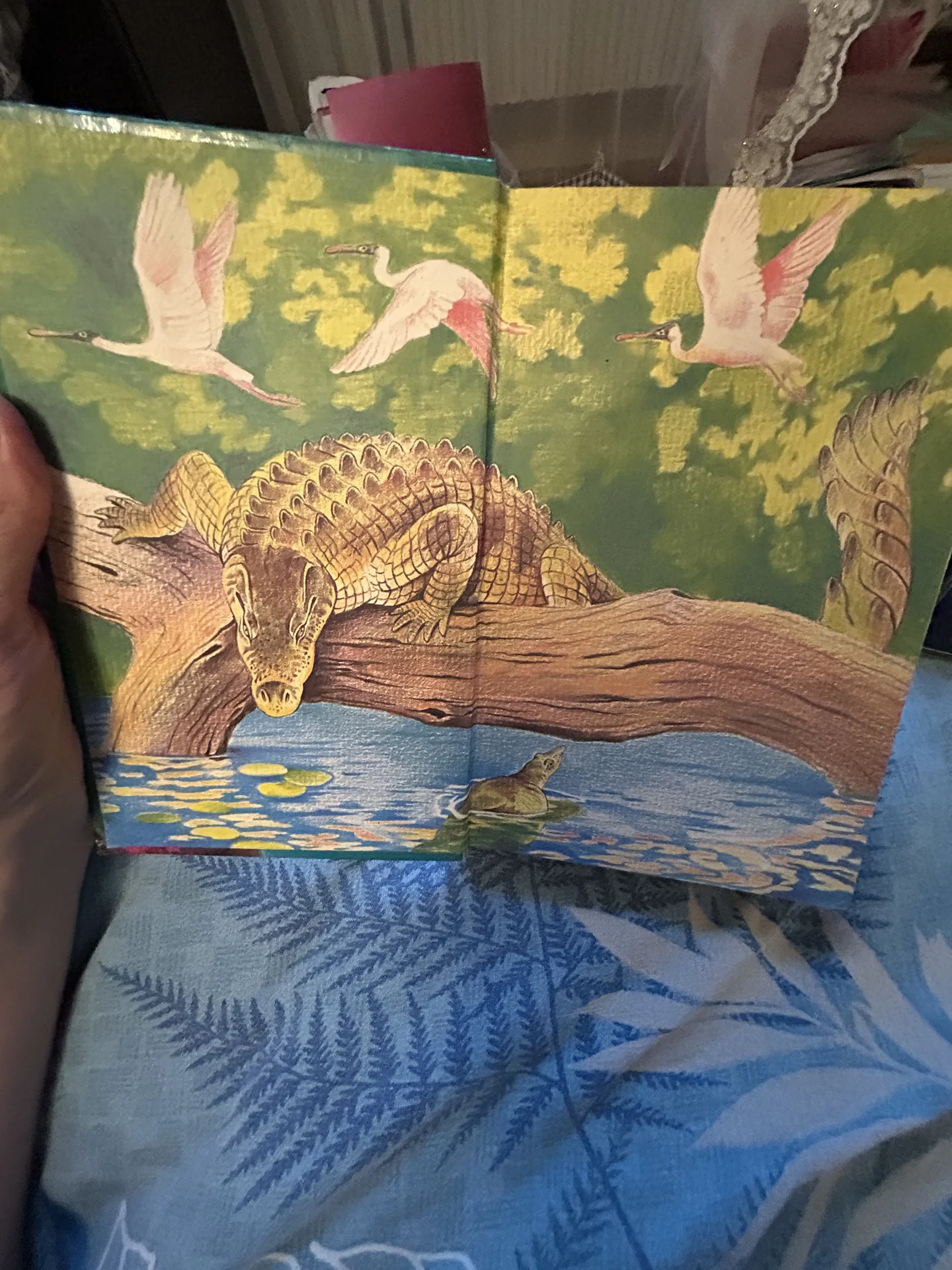 Книга Сокровища животного мира - миниатюра 2
