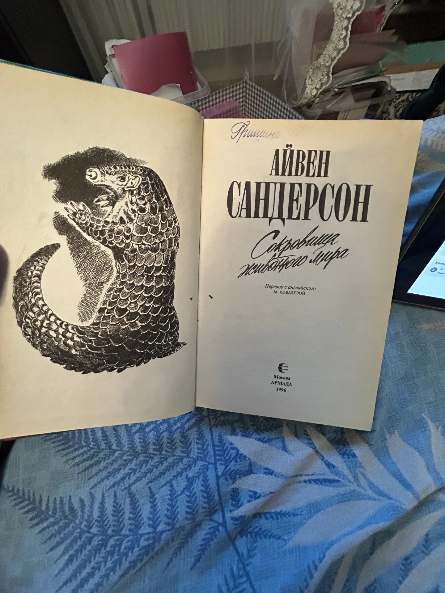 Книга Сокровища животного мира - миниатюра 4