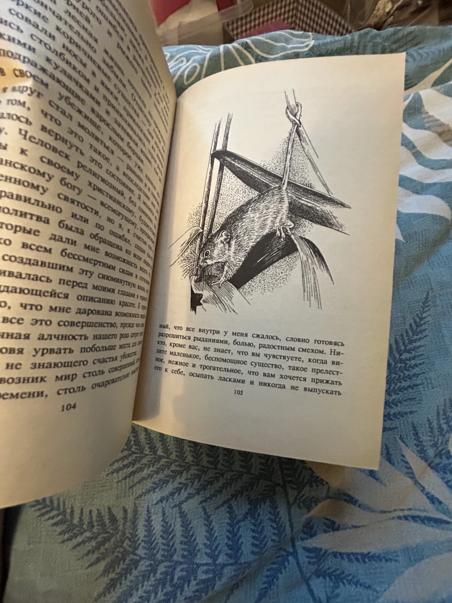 Книга Сокровища животного мира - миниатюра 5