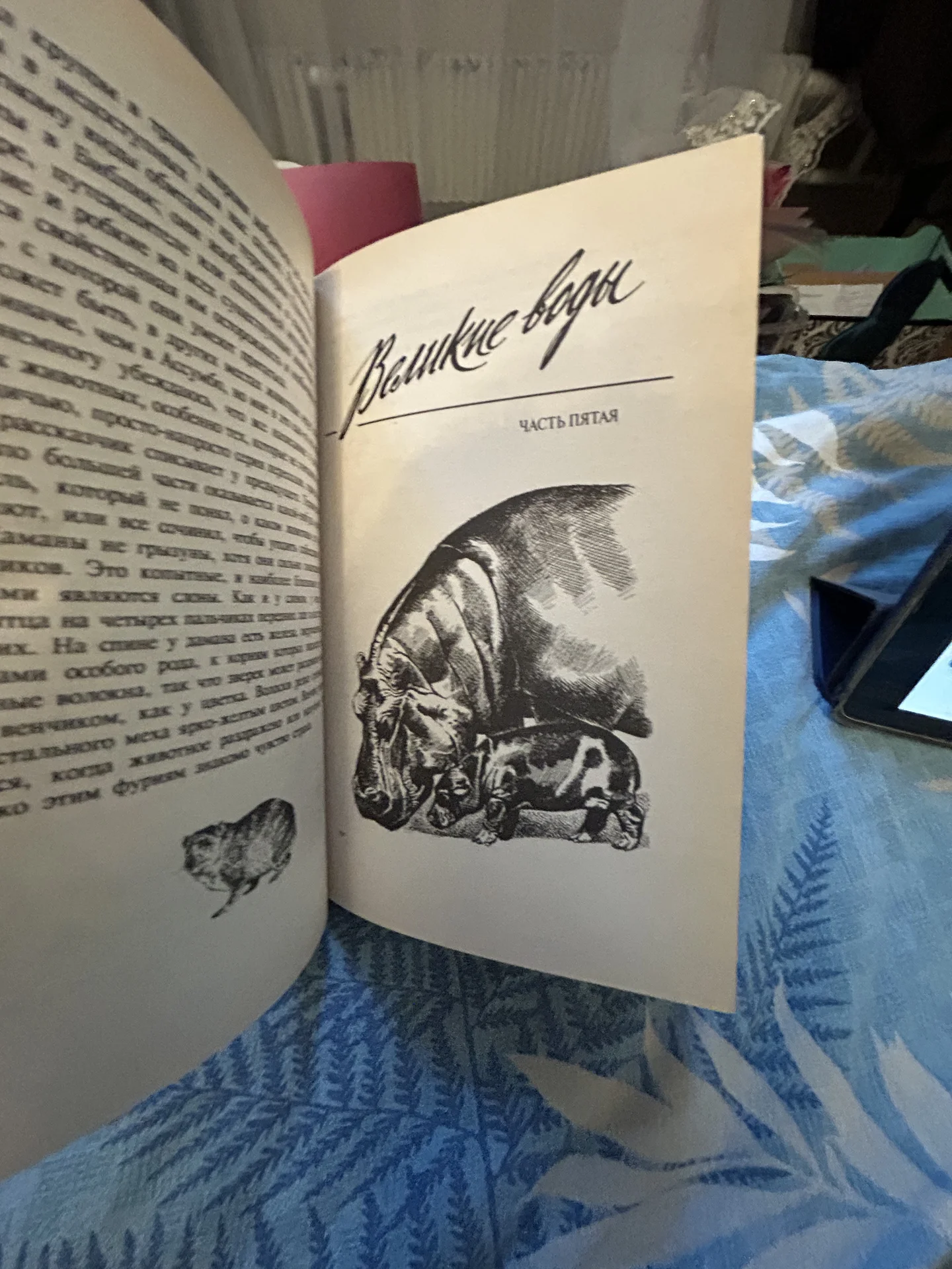 Книга Сокровища животного мира - миниатюра 7