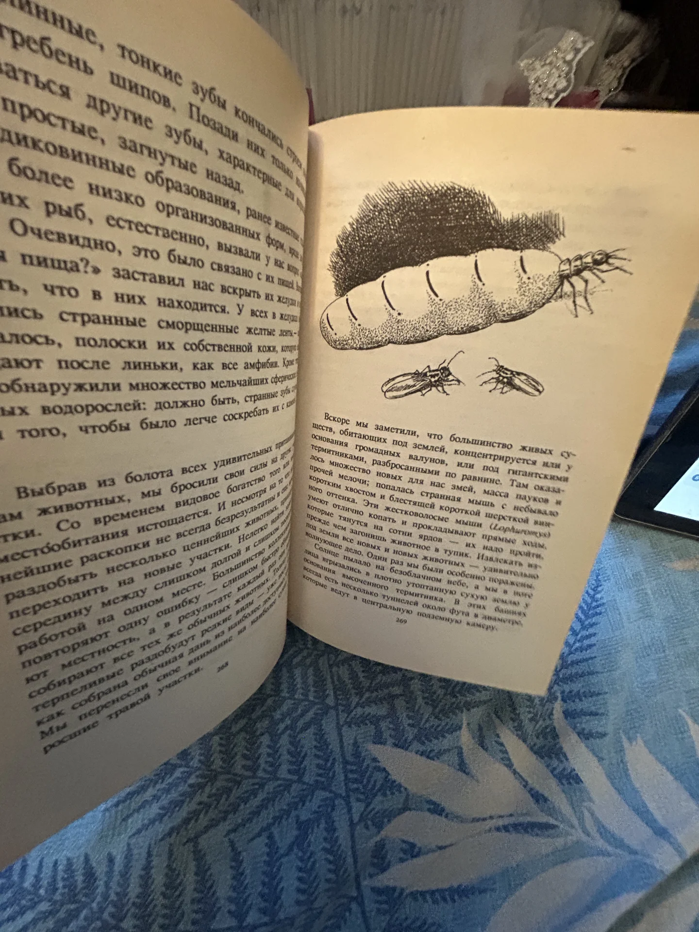 Книга Сокровища животного мира - миниатюра 8