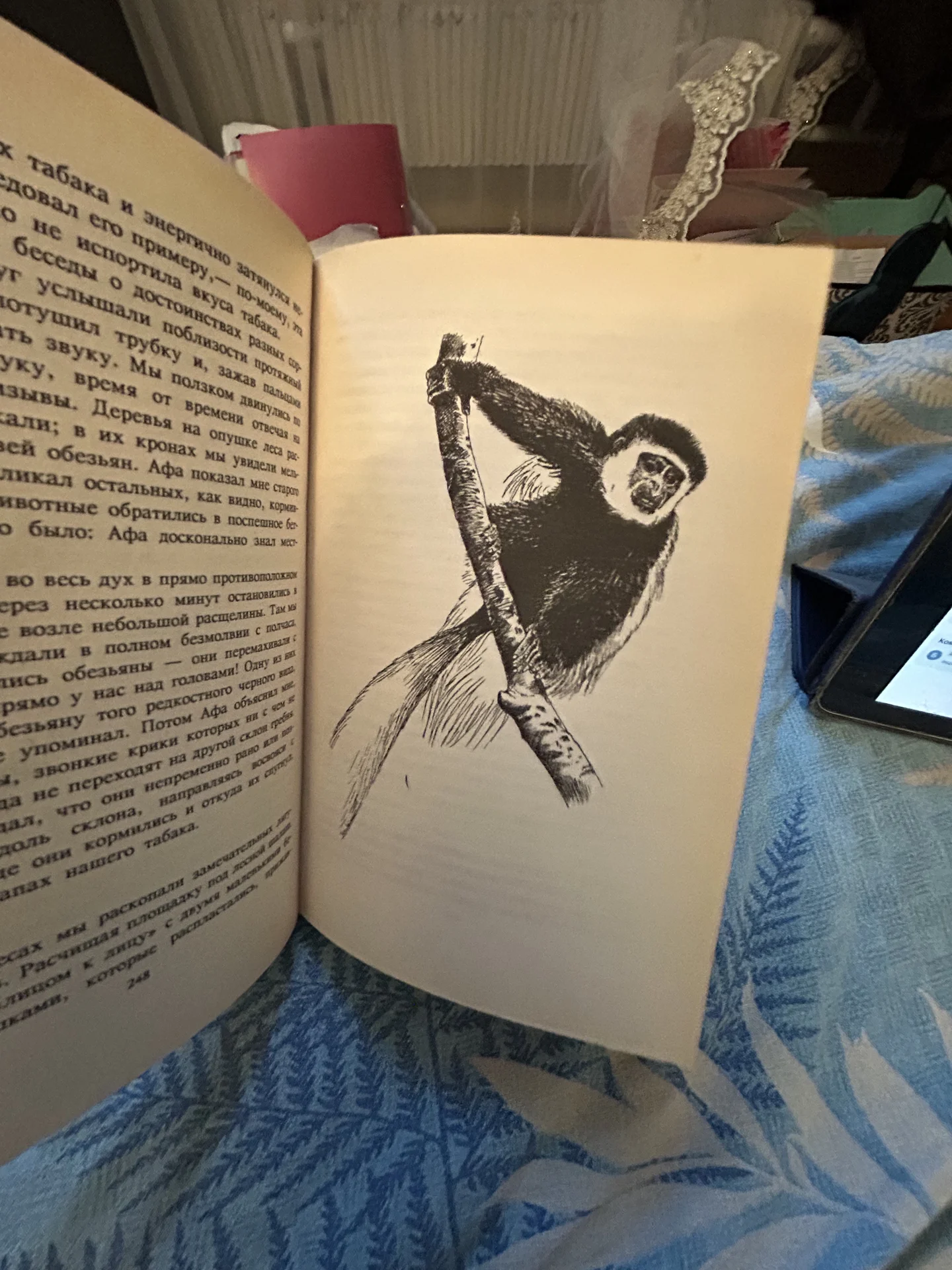 Книга Сокровища животного мира - миниатюра 9