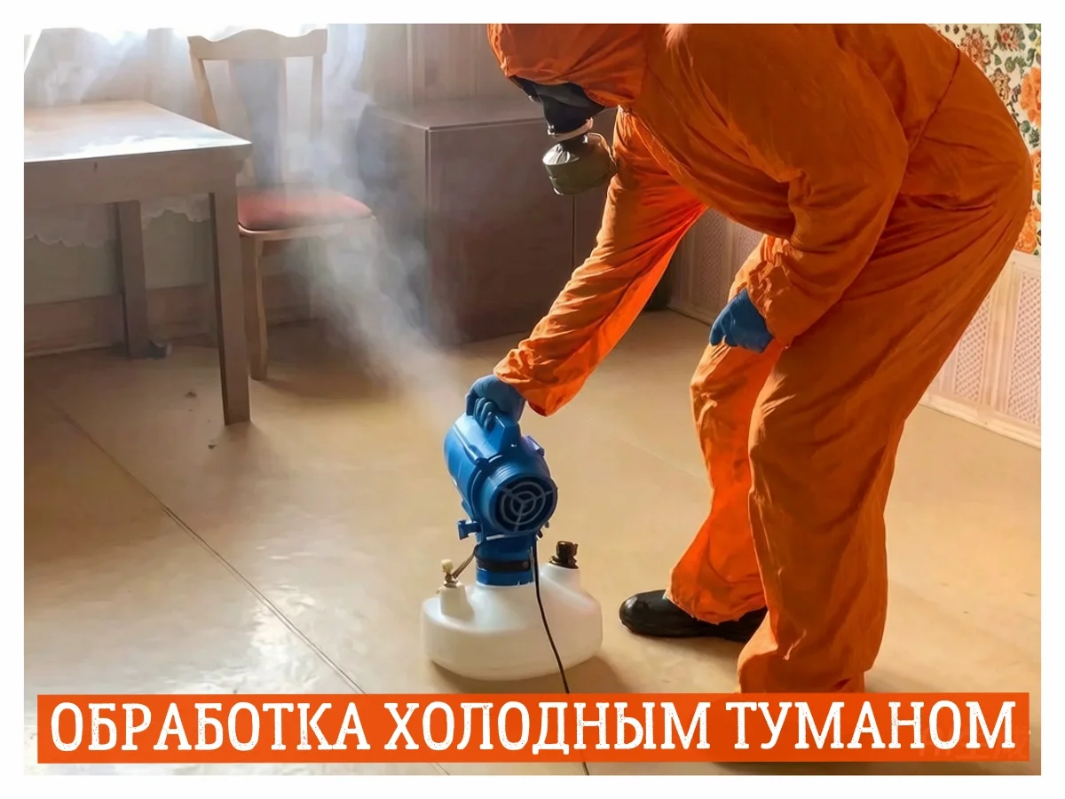 Уничтожение тараканов клопов насекомых дезинфекция - миниатюра 5