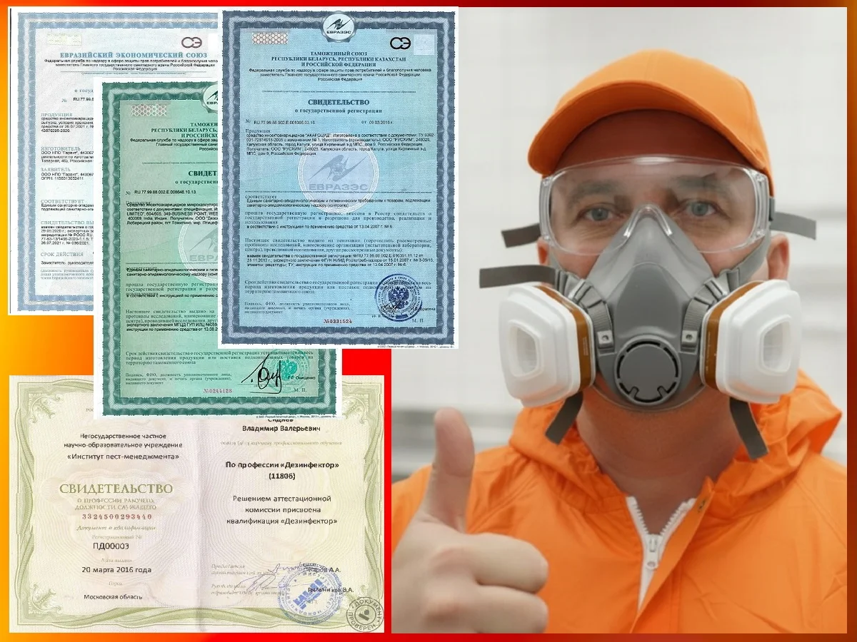 Уничтожение тараканов клопов насекомых дезинфекция - миниатюра 6
