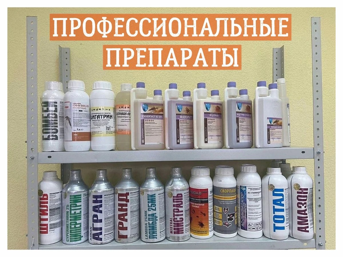 Уничтожение тараканов клопов насекомых дезинфекция - миниатюра 8