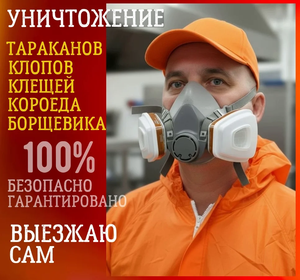 Уничтожение тараканов клопов насекомых дезинфекция - изображение 1