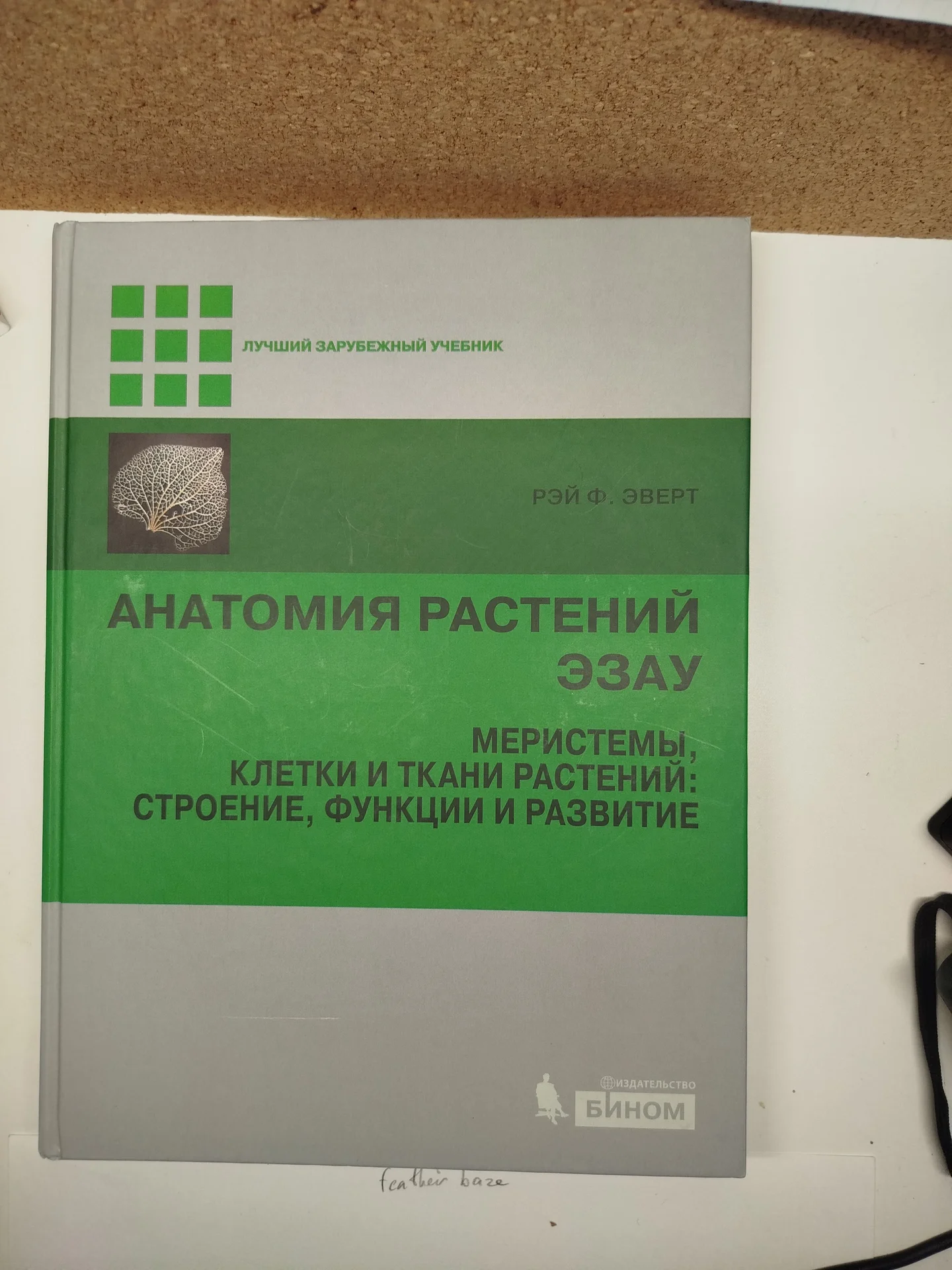 анатомия растений Эзау - миниатюра 3