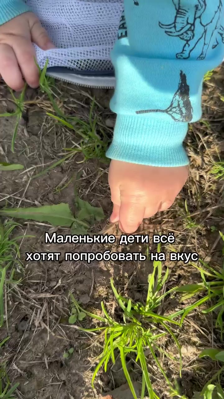 Палатка манеж - видео 2