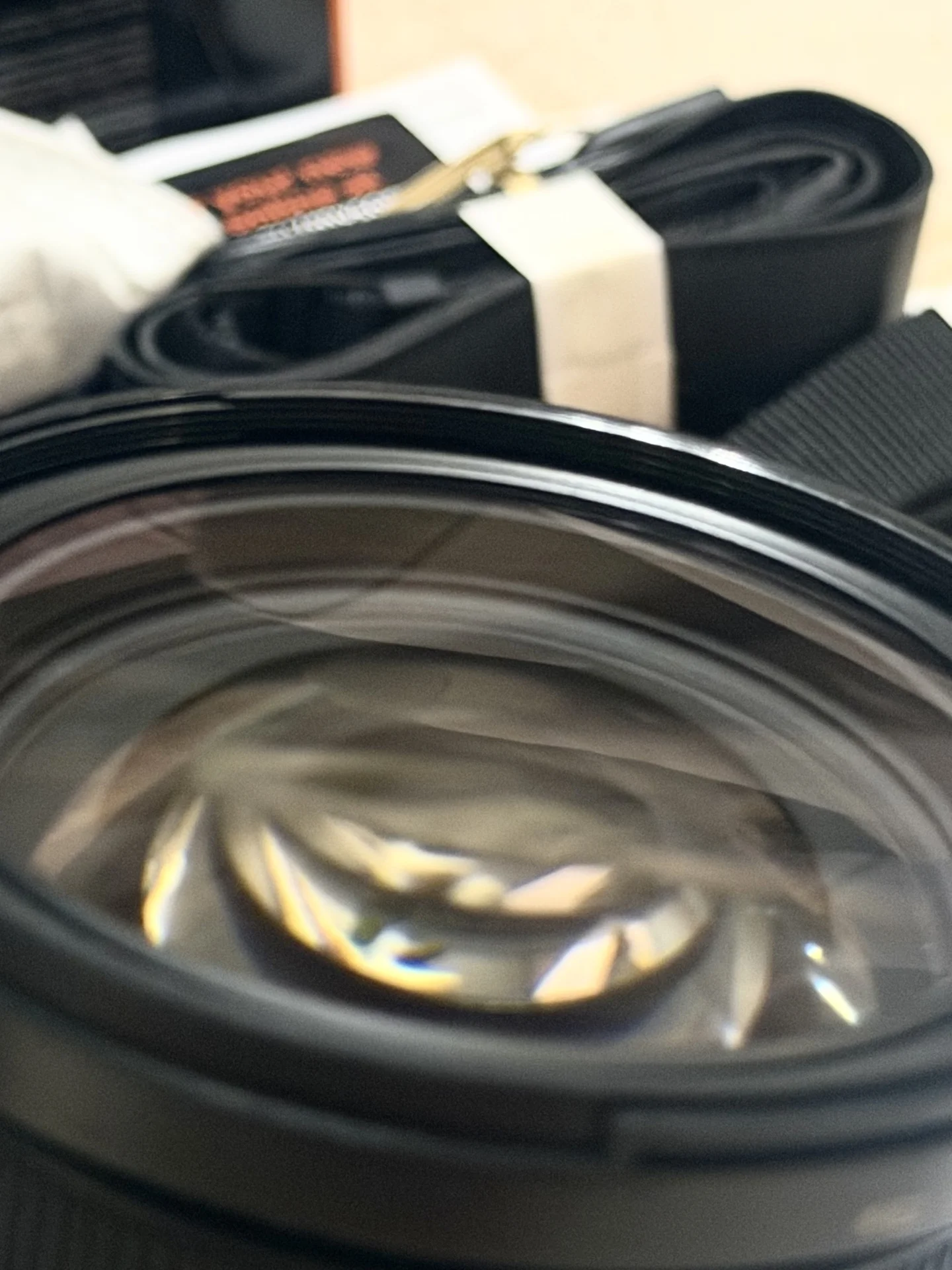 Sony Alpha A7 IV (ILCE-7M4) + Sony FE 24–70mm F2.8 - миниатюра 2