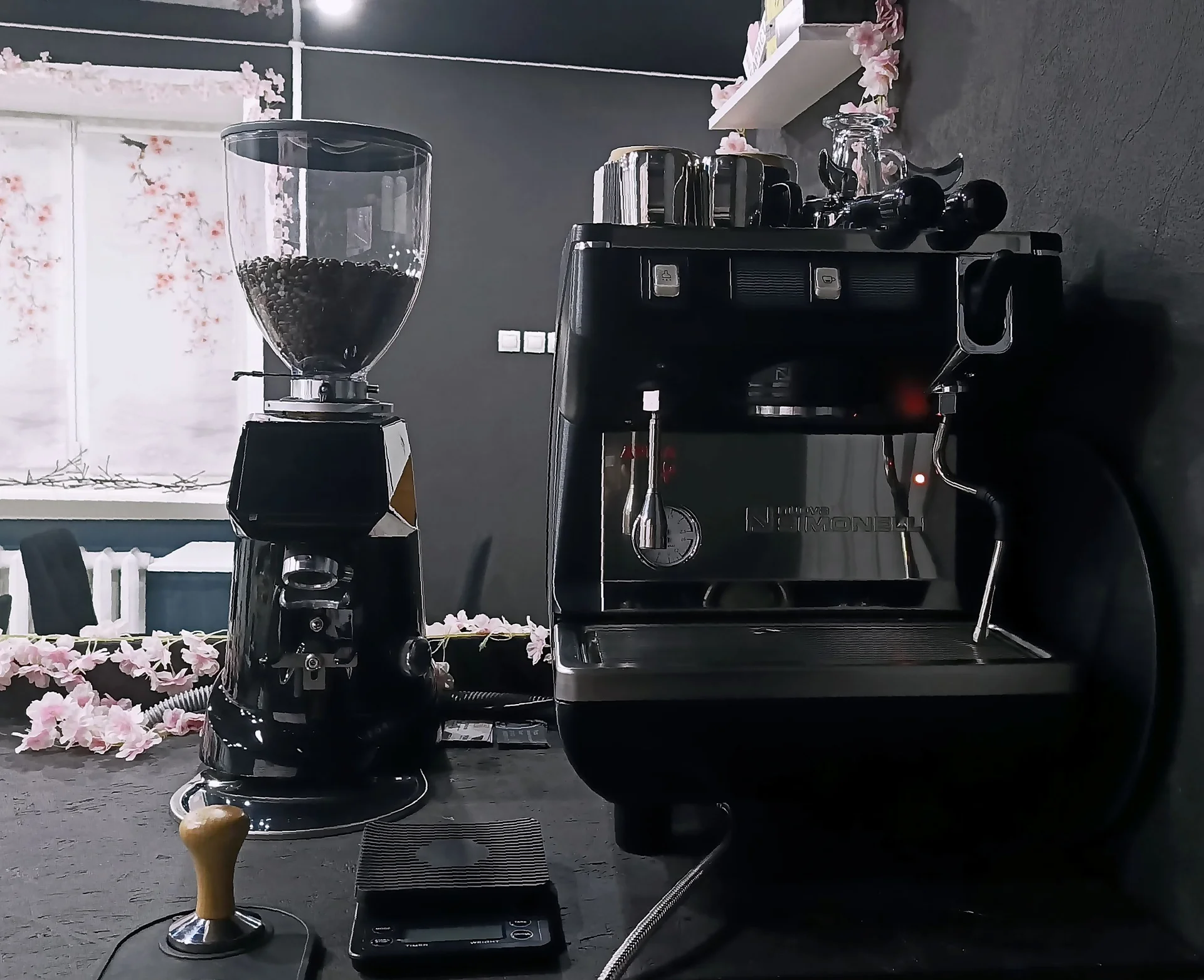 Кофемолка Fiorenzato F64E - изображение 1